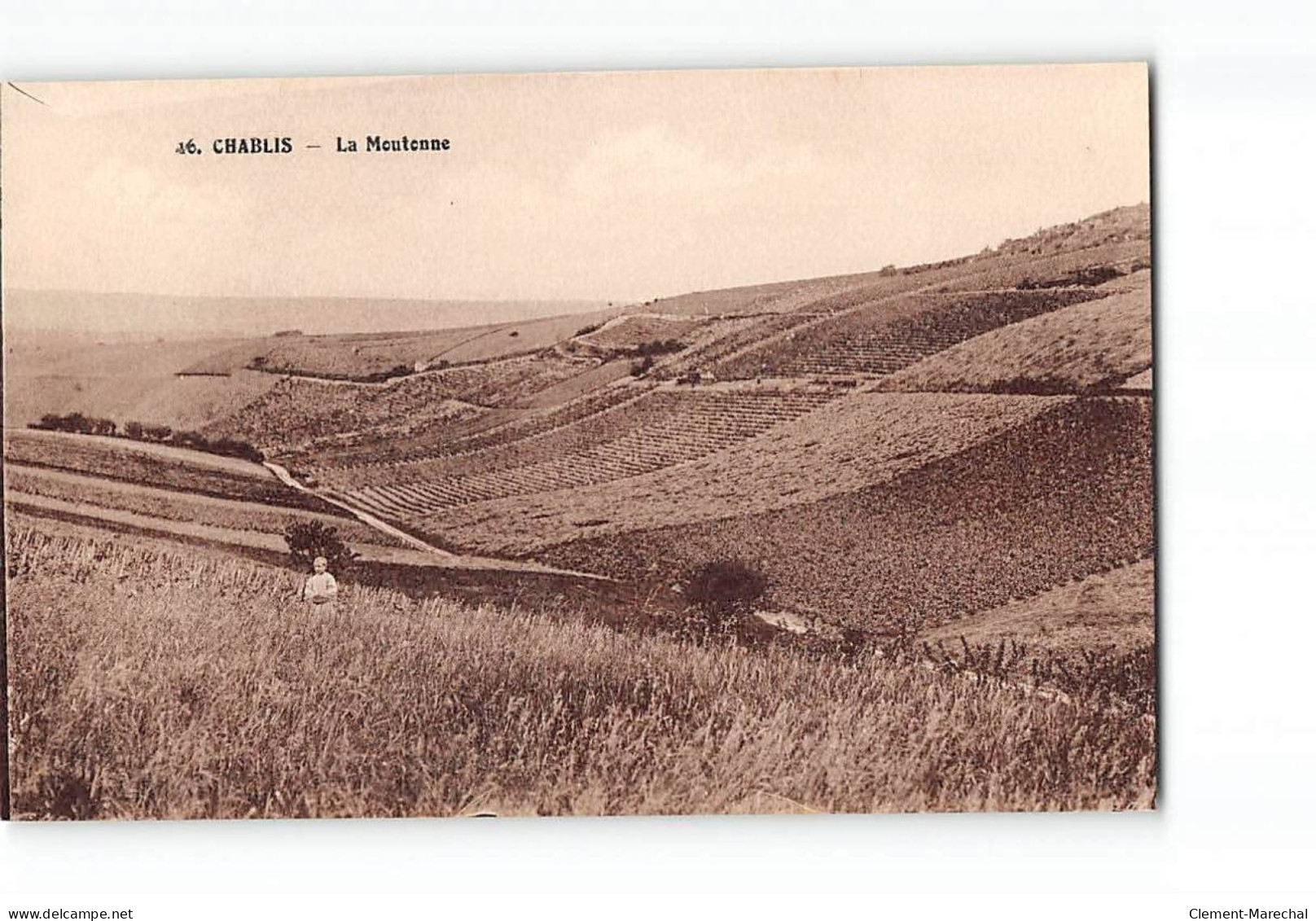 CHABLIS - La Moutonne - Très Bon état - Chablis