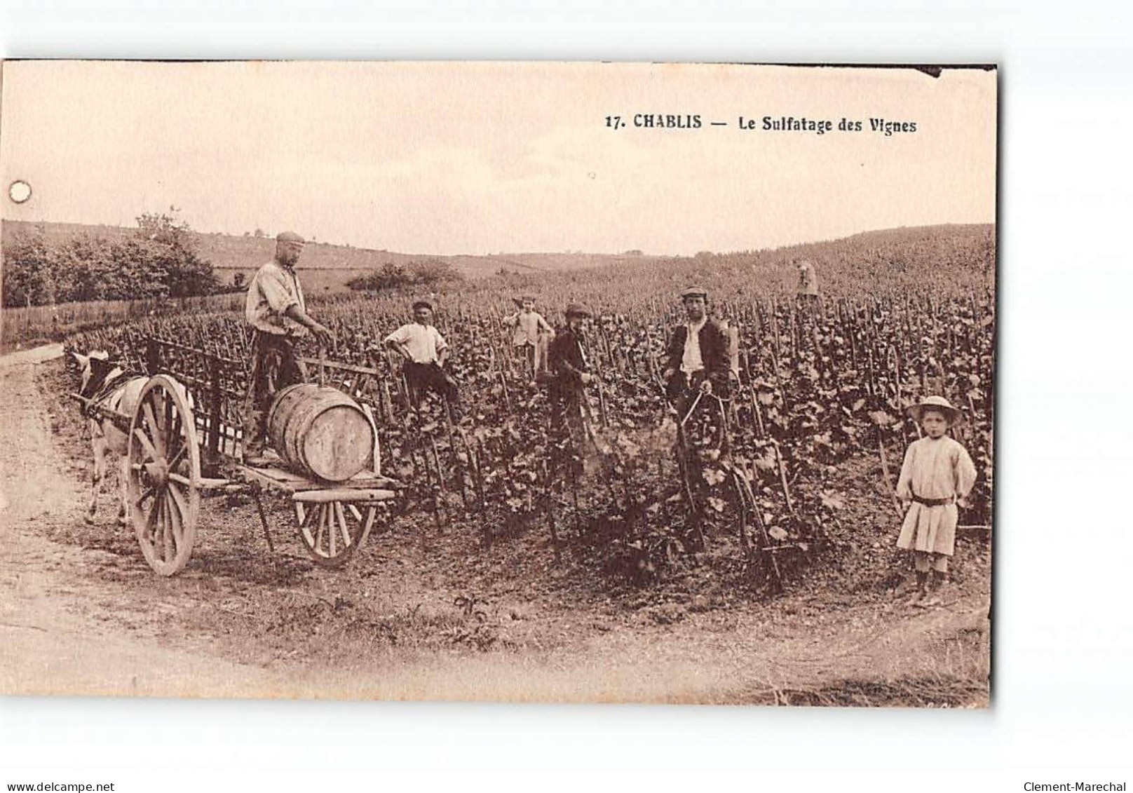 CHABLIS - Le Sulfatage Des Vignes - Très Bon état - Chablis