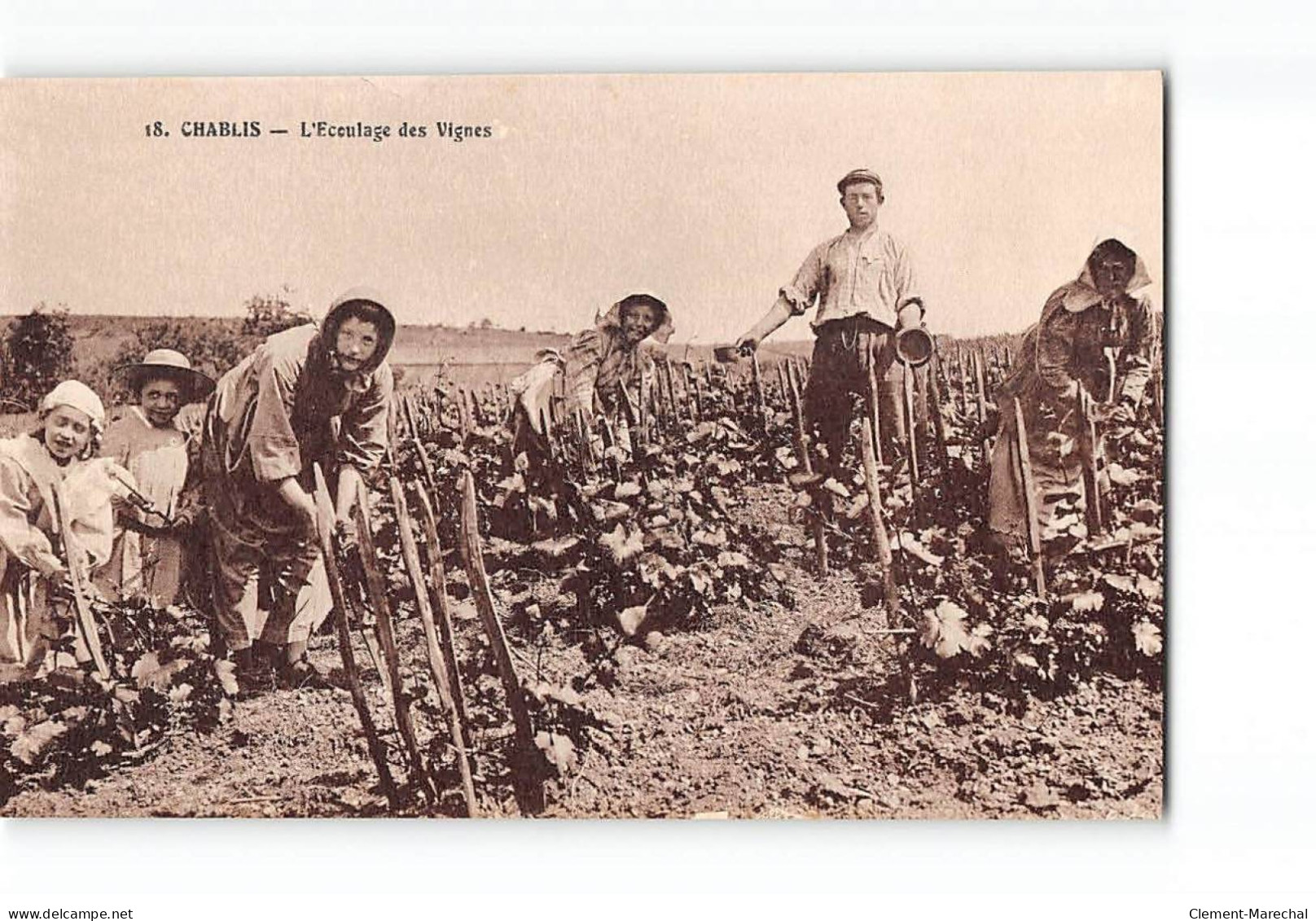 CHABLIS - L'Ecoulage Des Vignes - Très Bon état - Chablis