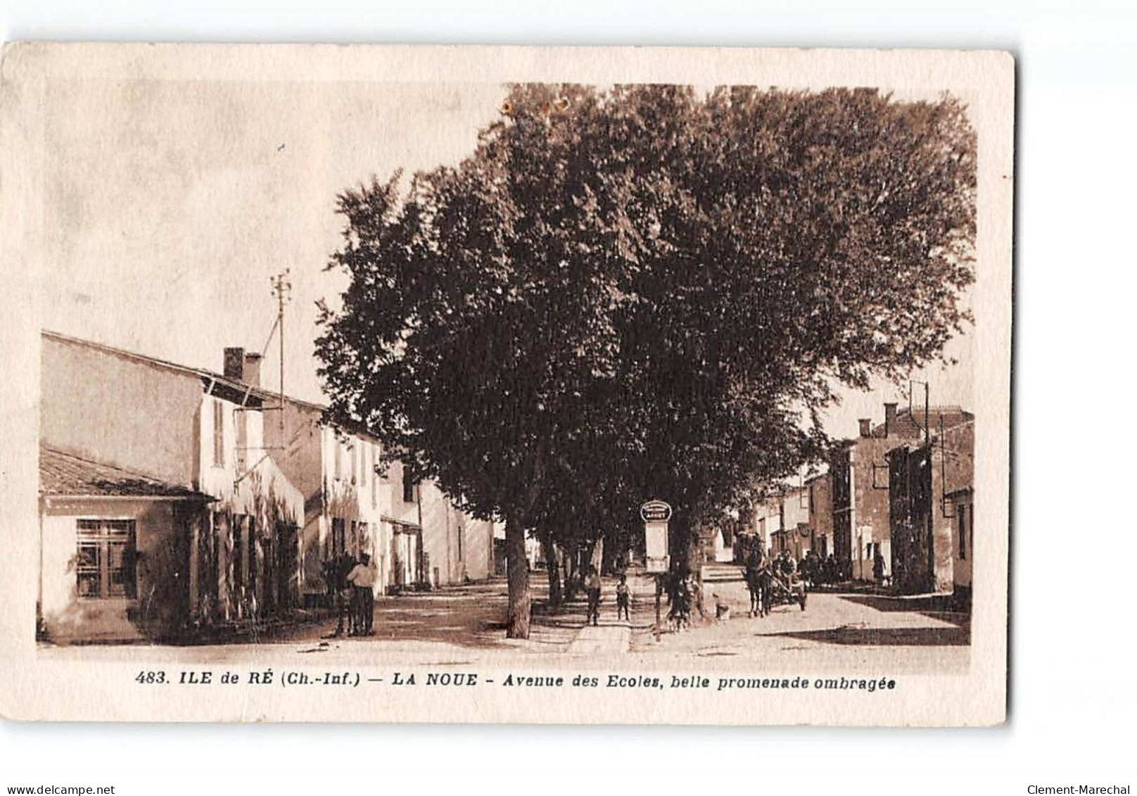 ILE DE RE - LA NOUE - Avenue Des Ecoles - Très Bon état - Ile De Ré