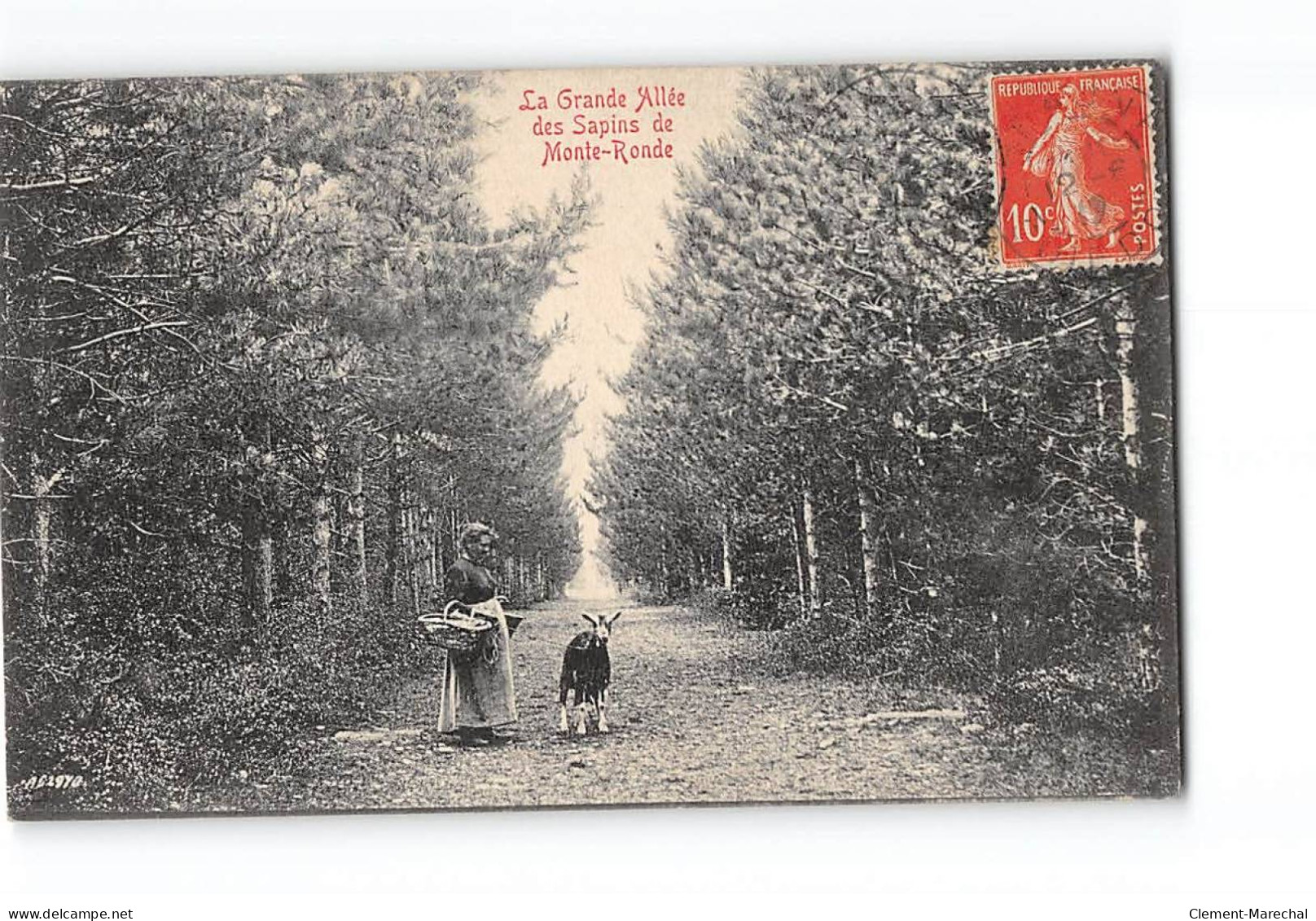 La Grande Allée Des Sapins De Monte Ronde - Très Bon état - Altri & Non Classificati