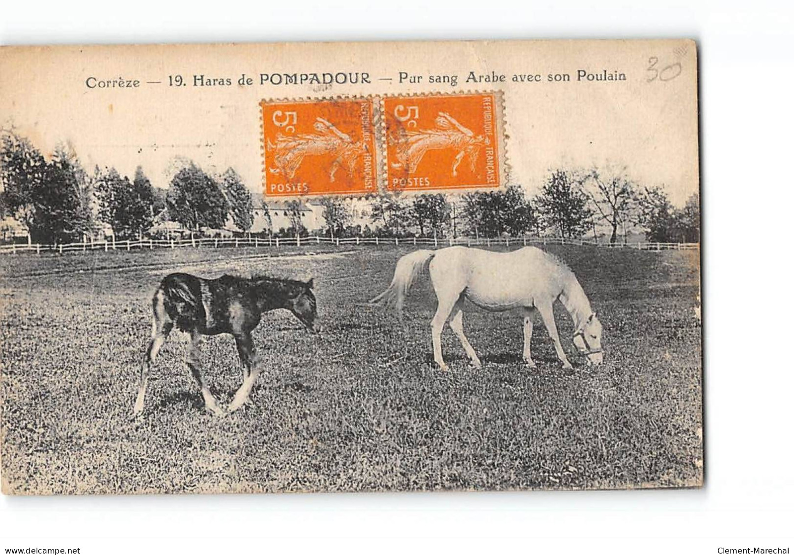 Haras De POMPADOUR - Pur Sang Arabe Avec Son Poulain - Très Bon état - Other & Unclassified