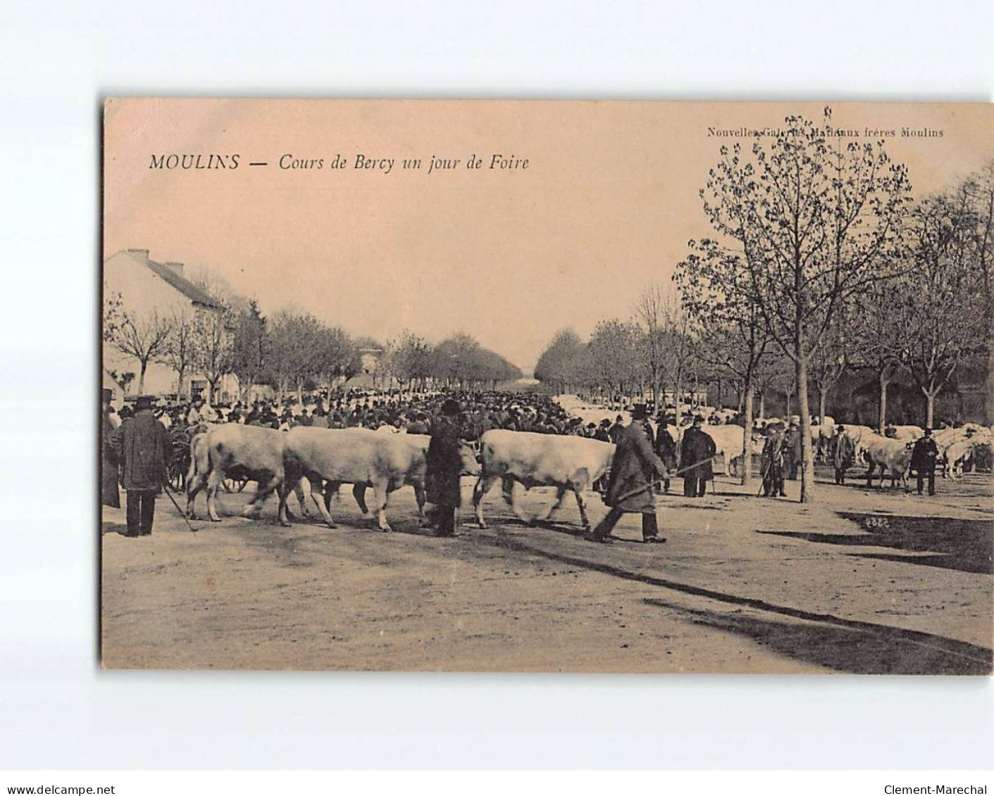 MOULINS: Cours De Bercy Un Jour De Foire - Très Bon état - Moulins