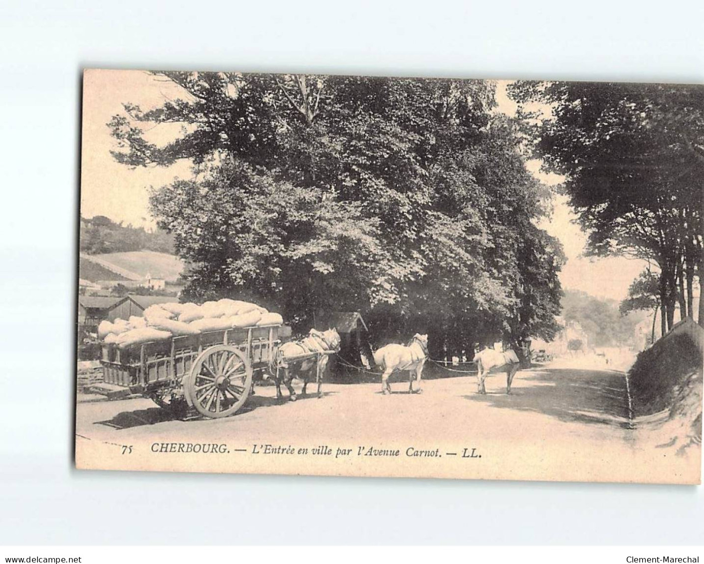 CHERBOURG : L'entrée De La Ville Par L'Avenue Carnot - Très Bon état - Cherbourg