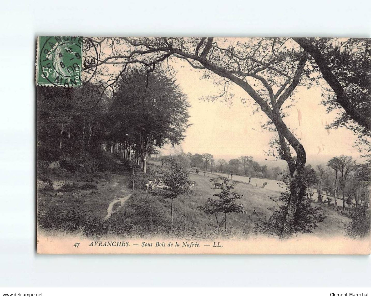 AVRANCHES : Sous Bois De La Nafrée - Très Bon état - Avranches