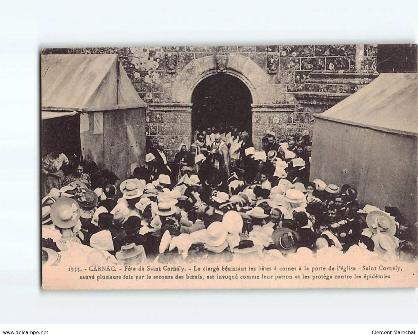 CARNAC : Fête De Saint-Cornély, Le Clergé Bénissant Les Bêtes à Cornes à La Porte De L'Eglise - Très Bon état - Carnac