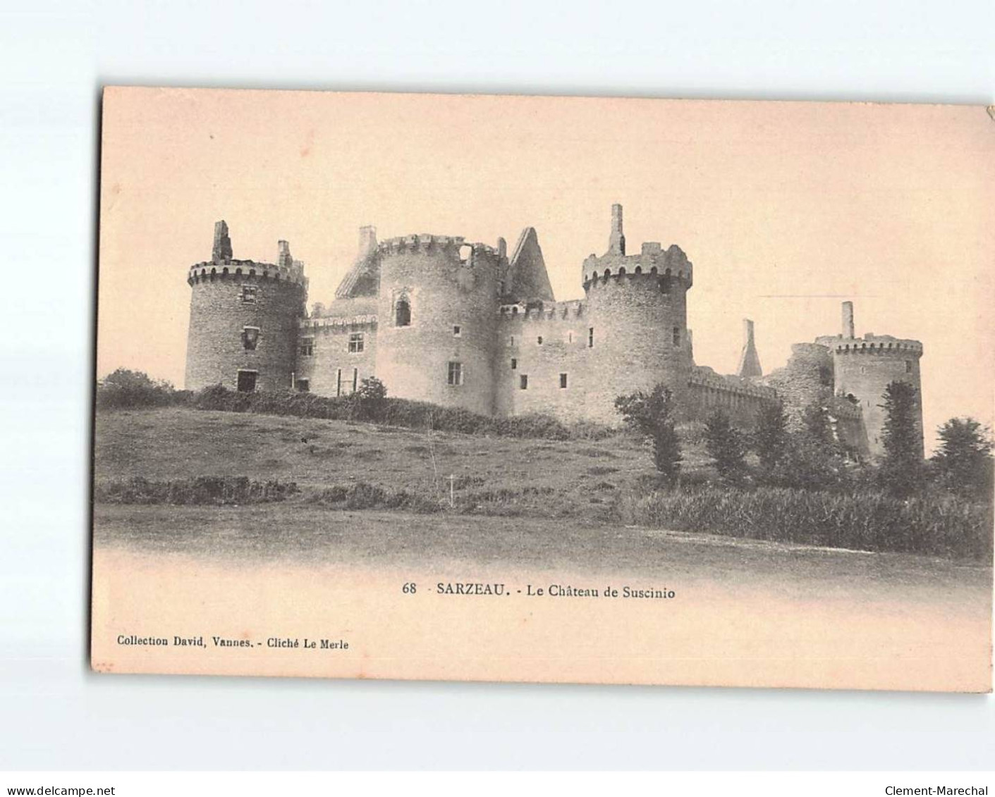 SARZEAU : Le Château De Suscinio - Très Bon état - Sarzeau
