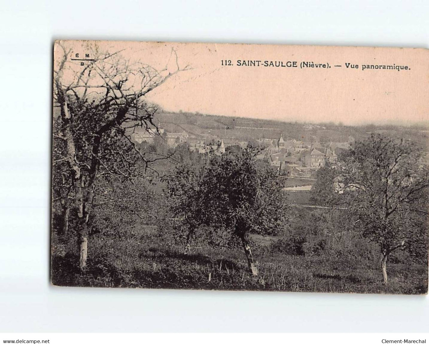 SAINT SAULGE : Vue Panoramique - état - Other & Unclassified