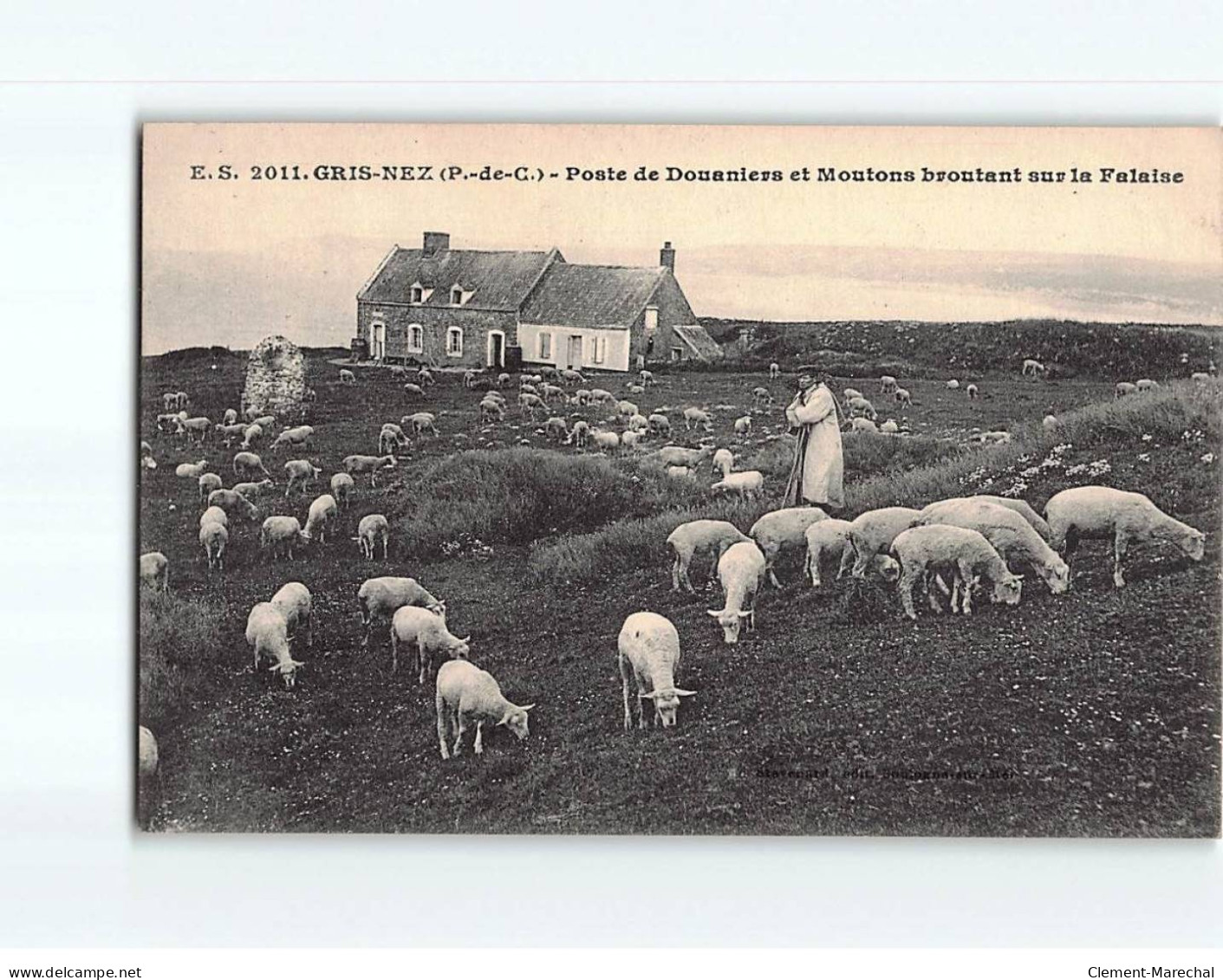 GRIS NEZ : Poste De Douaniers Et Moutons Broutant Sur La Falaise - Très Bon état - Autres & Non Classés