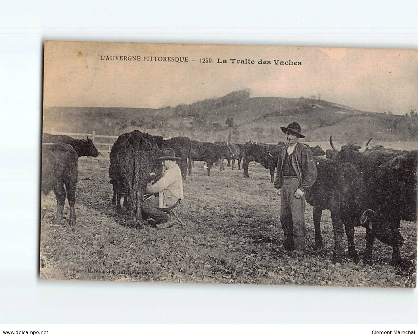 AUVERGNE : La Traite Des Vaches - Très Bon état - Auvergne Types D'Auvergne