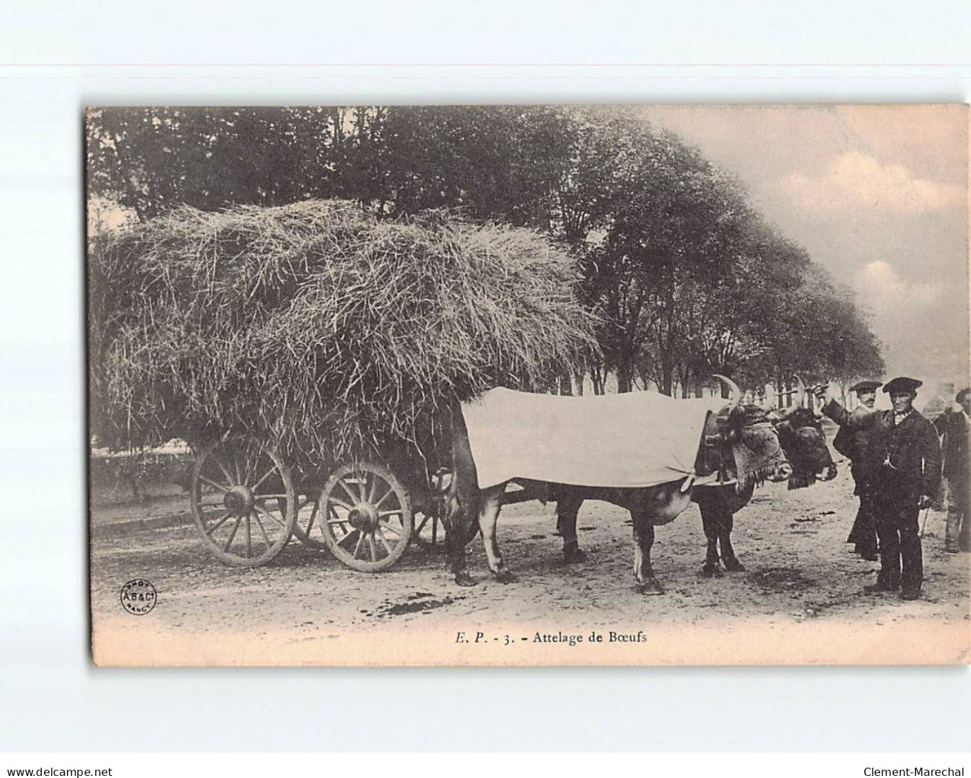 Attelage De Boeufs - Très Bon état - Other & Unclassified