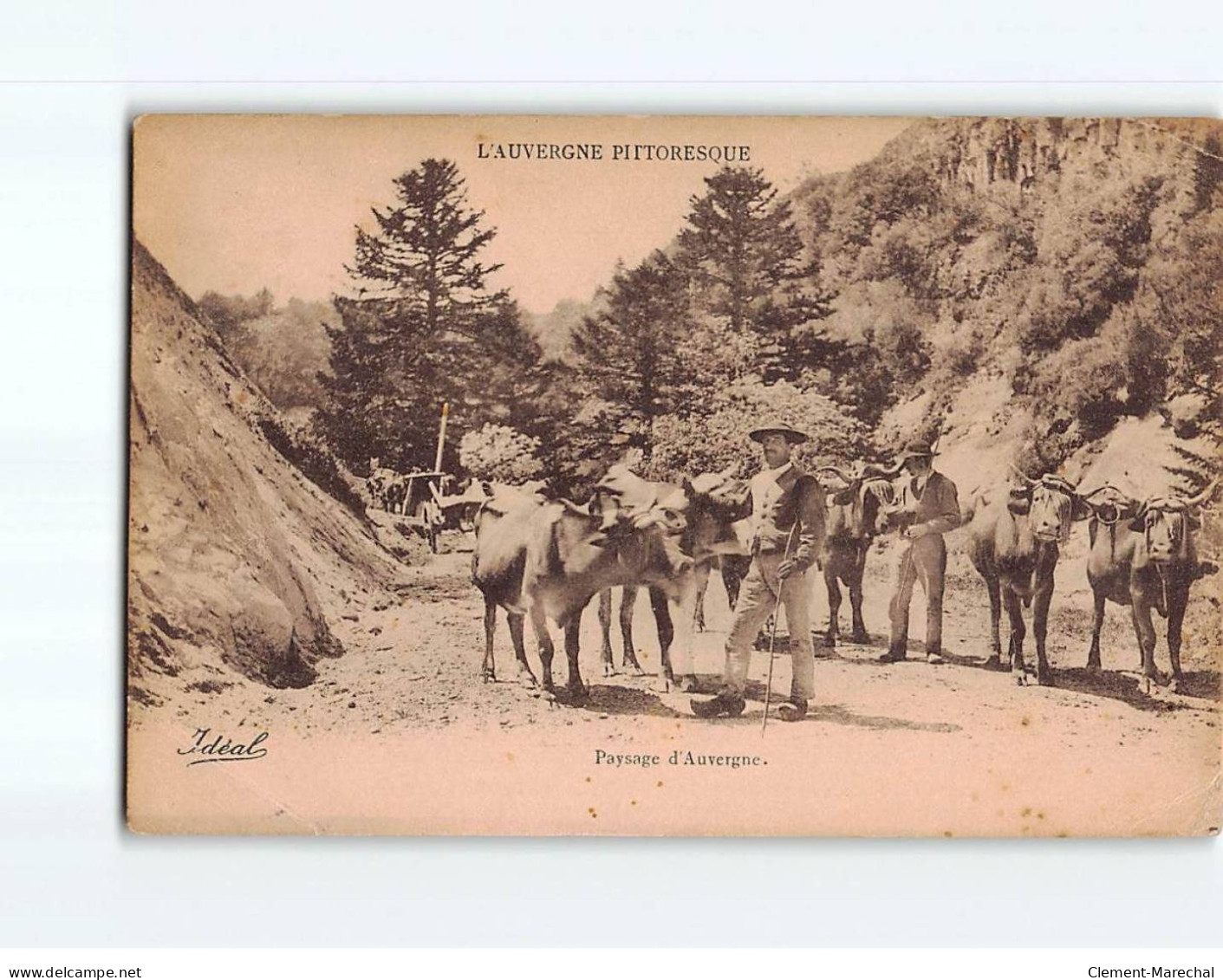 Paysage D'Auvergne, Un Paysan Et Son Troupeau - état - Auvergne Types D'Auvergne