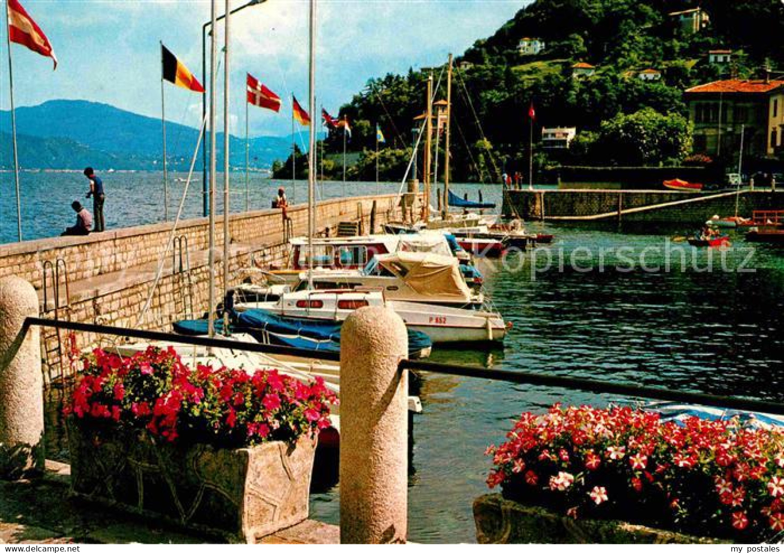 72735061 Cannobio Lago Maggiore Hafen Italien - Autres & Non Classés