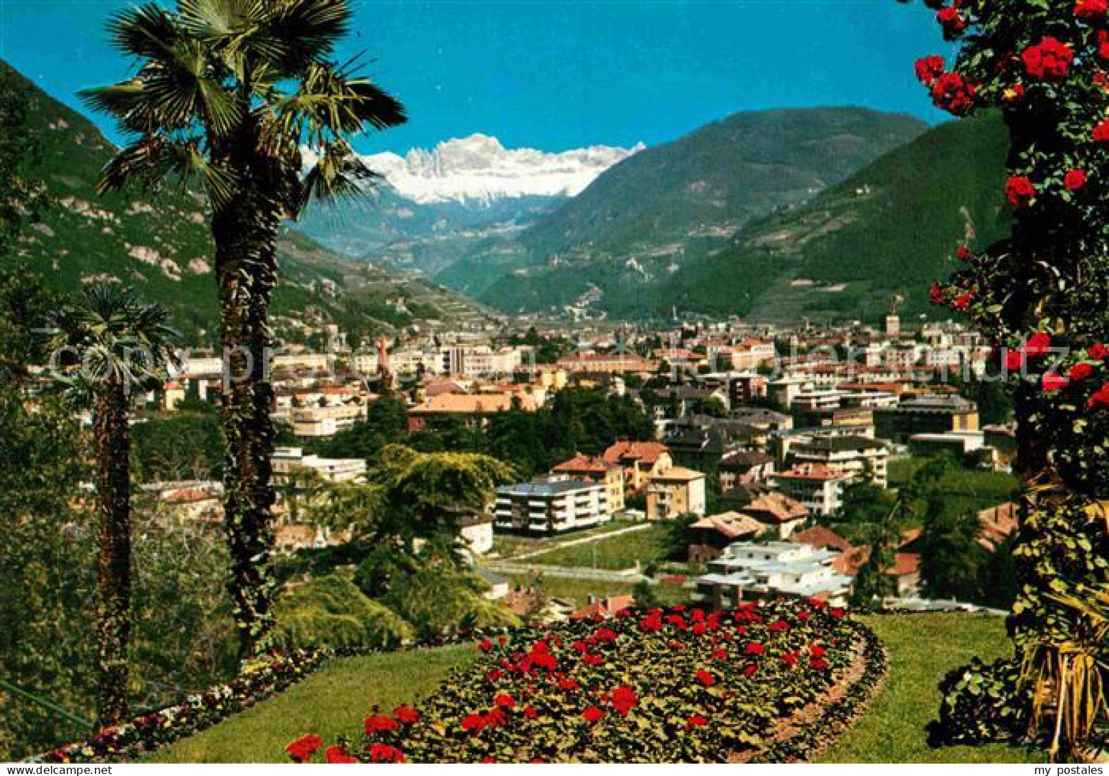 72734990 Bolzano Verso Il Catinaccio Panorama Blick Gegen Rosengarten Dolomiten  - Autres & Non Classés