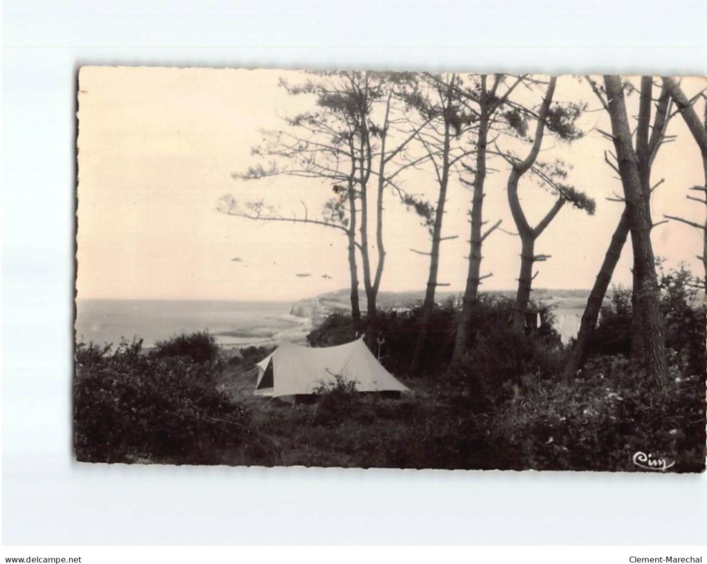 QUIBERVILLE SUR MER : Camping Dans Les Pins - Très Bon état - Autres & Non Classés