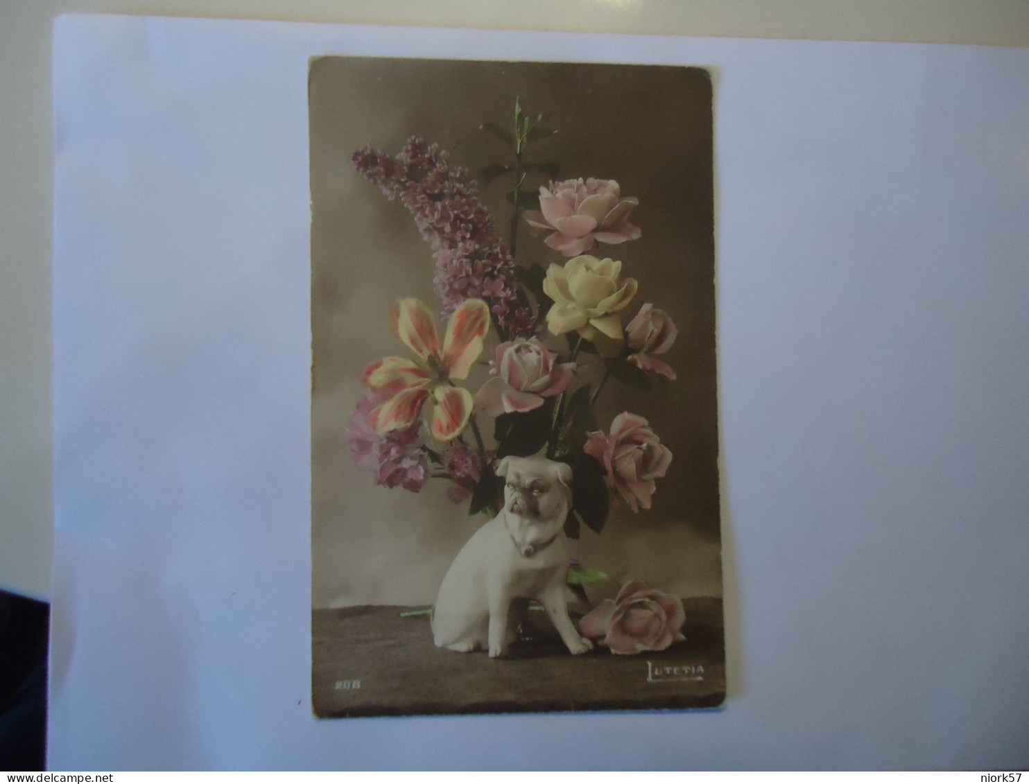 FRANCE   POSTCARDS GREETING DOGS AND FLOWERS - Chiens