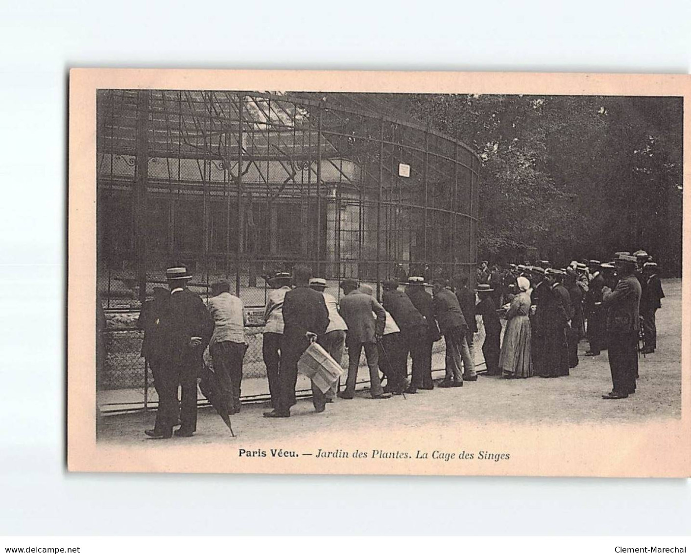 PARIS : Jardin Des Plantes, La Cage Des Singes - Très Bon état - Parks, Gardens