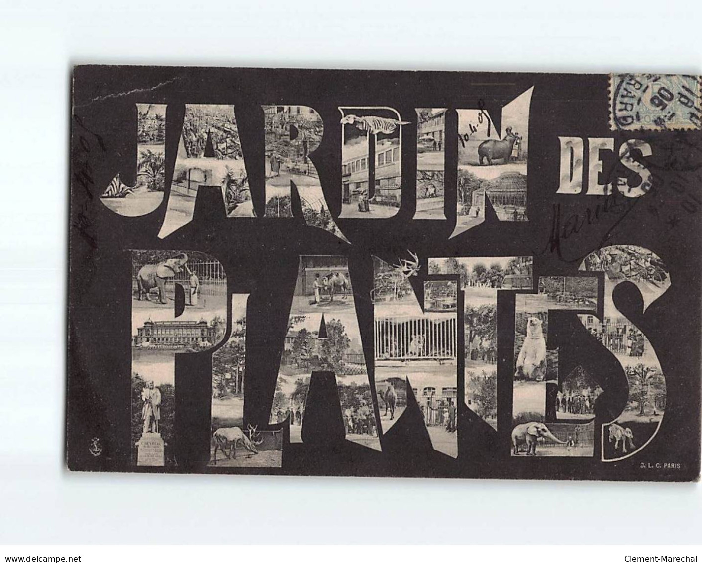 PARIS : Jardin Des Plantes, Carte Souvenir - état - Parken, Tuinen