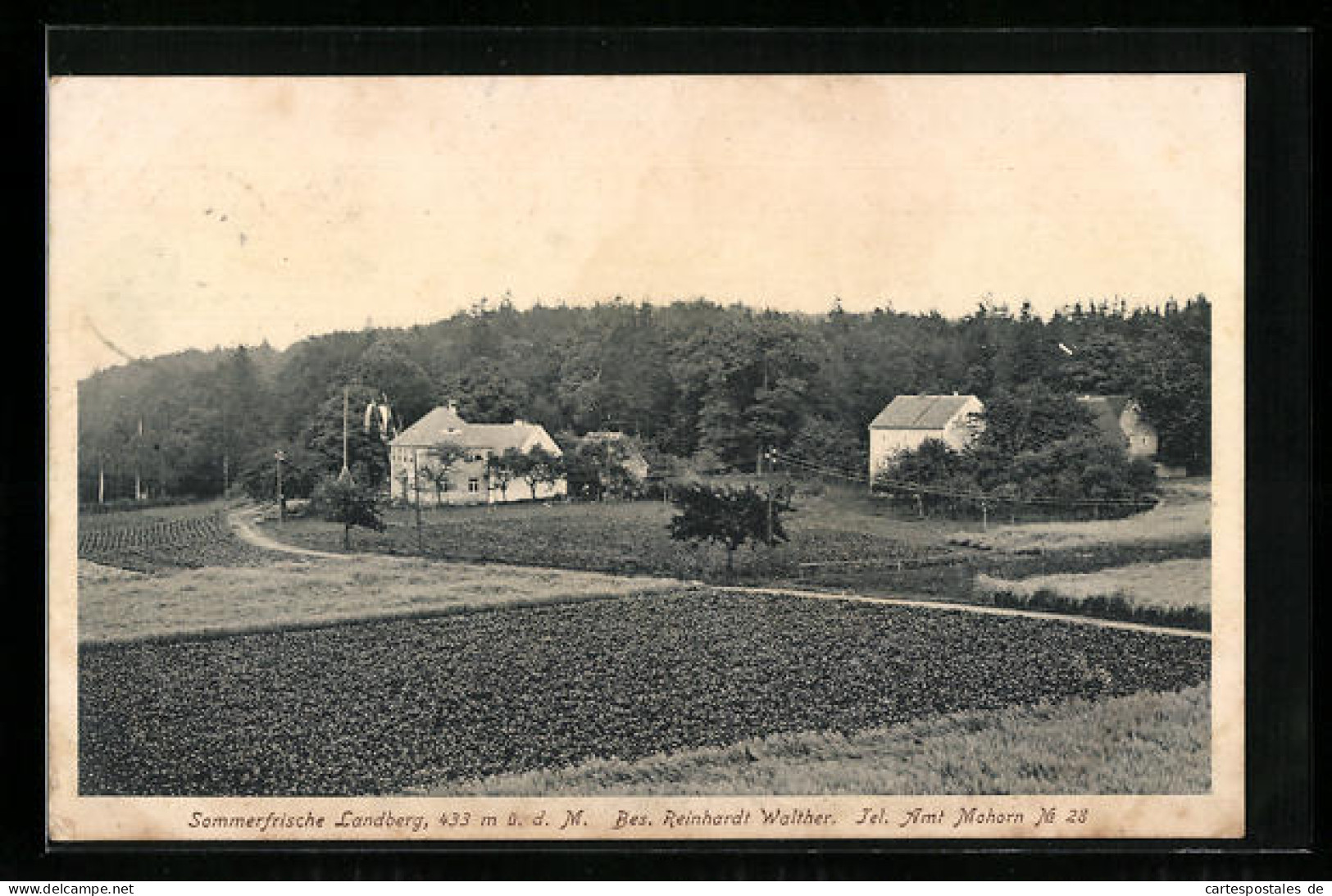 AK Mohorn, Gasthof Sommerfrische Landberg R. Walther Aus Der Vogelschau  - Other & Unclassified