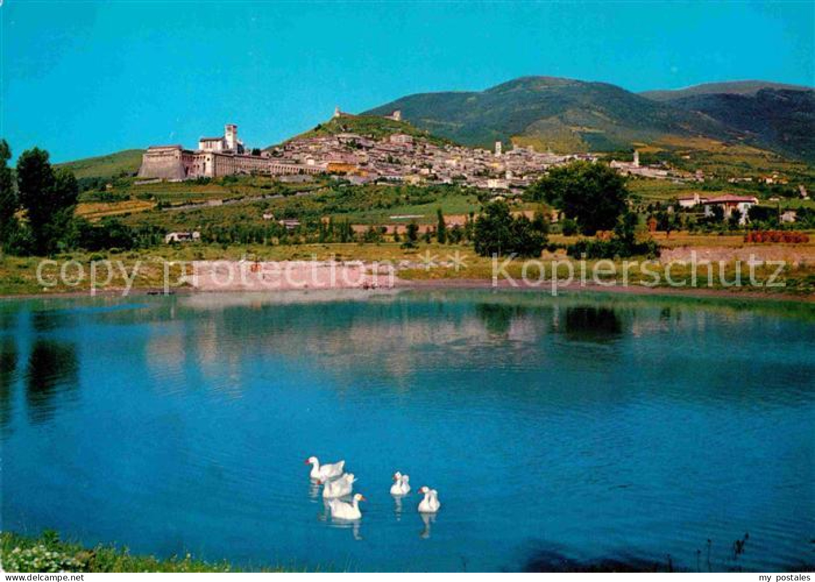 72734921 Assisi Umbria Panorama Assisi - Autres & Non Classés