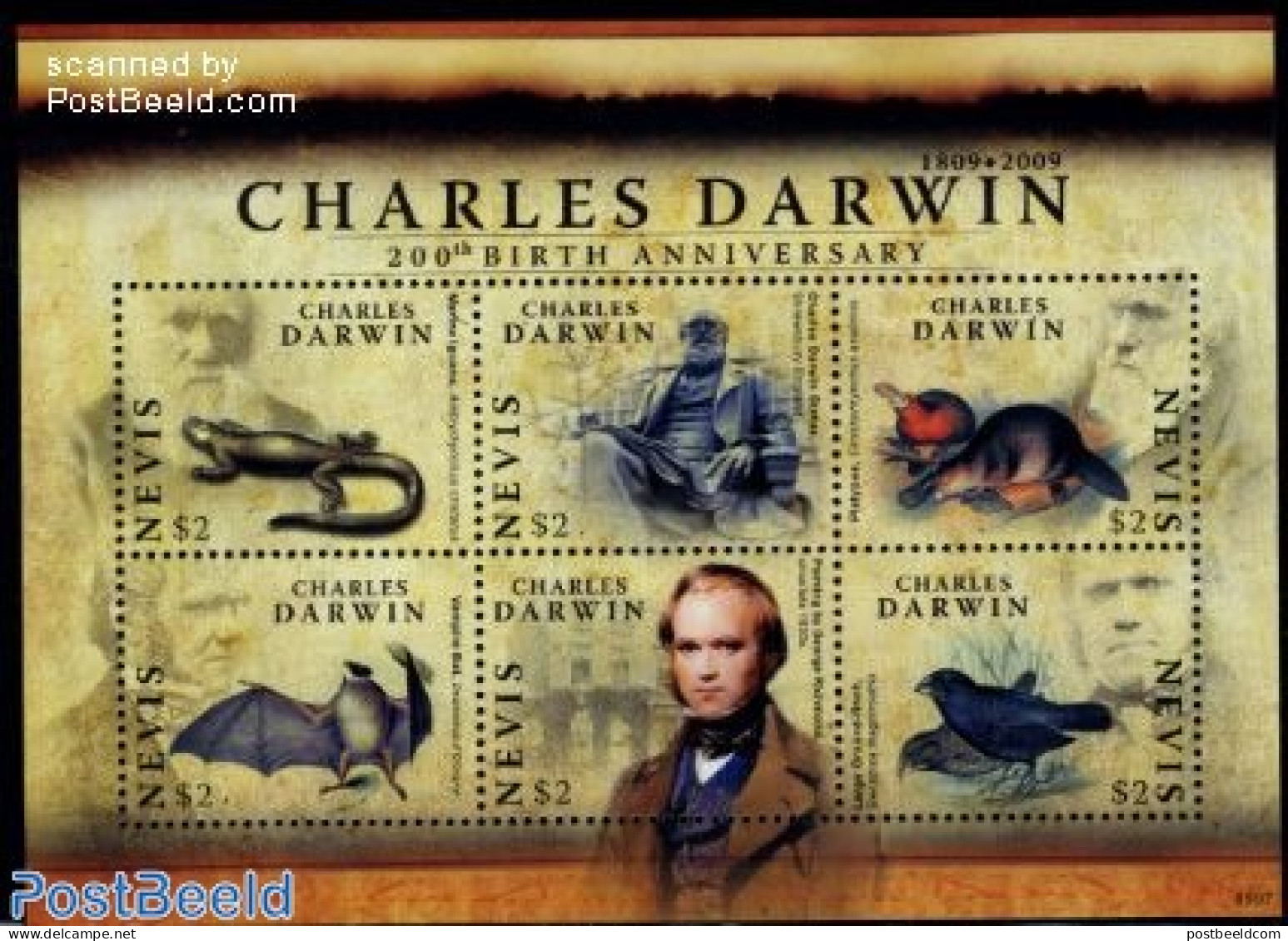 Nevis 2009 Charles Darwin 6v M/s, Mint NH, Nature - Animals (others & Mixed) - Bats - Birds - Reptiles - St.Kitts And Nevis ( 1983-...)