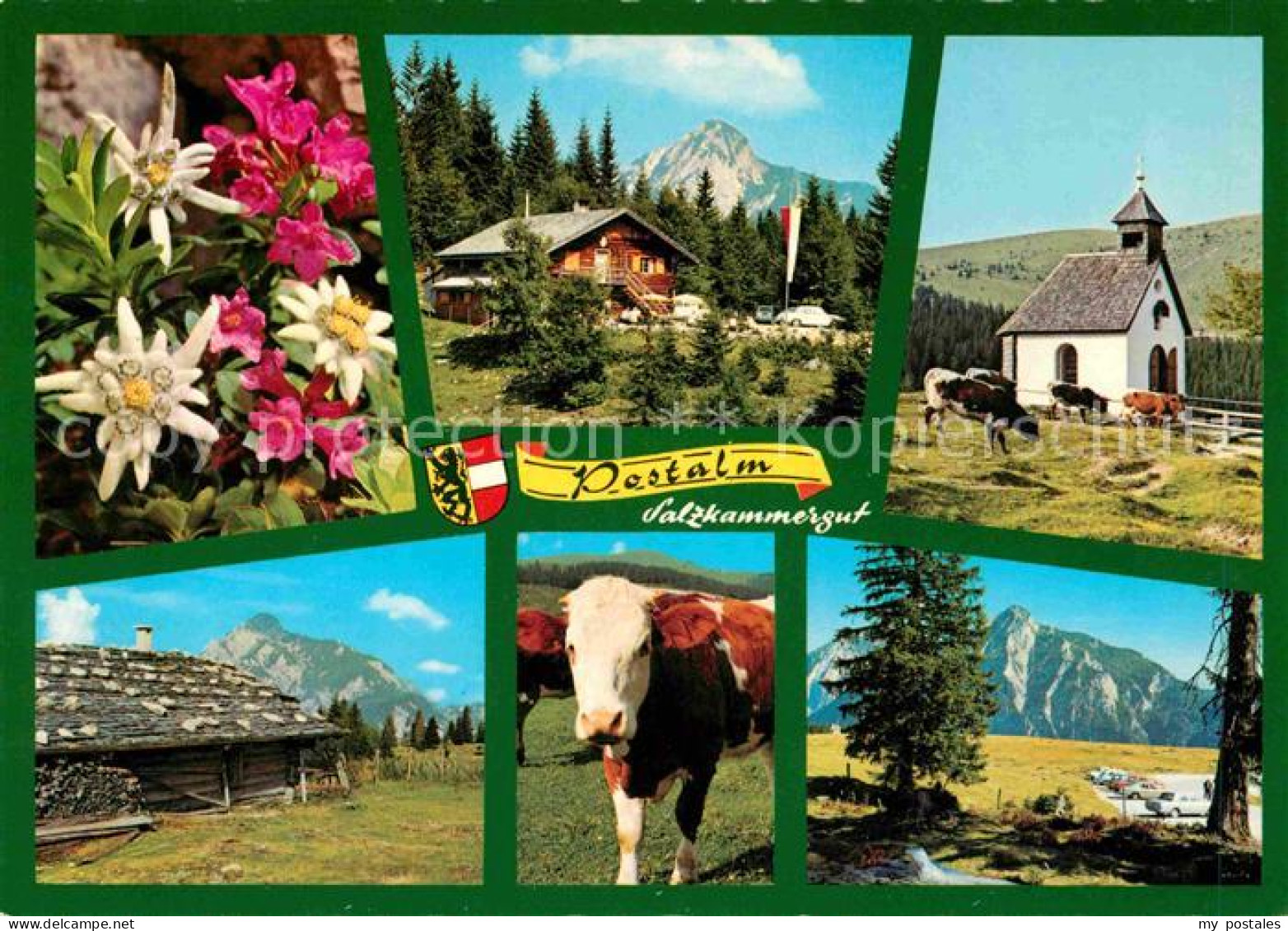 72733986 Strobl Postalm Bergrestaurant Alpenflora Kuh Kapelle Alpen Strobl - Other & Unclassified