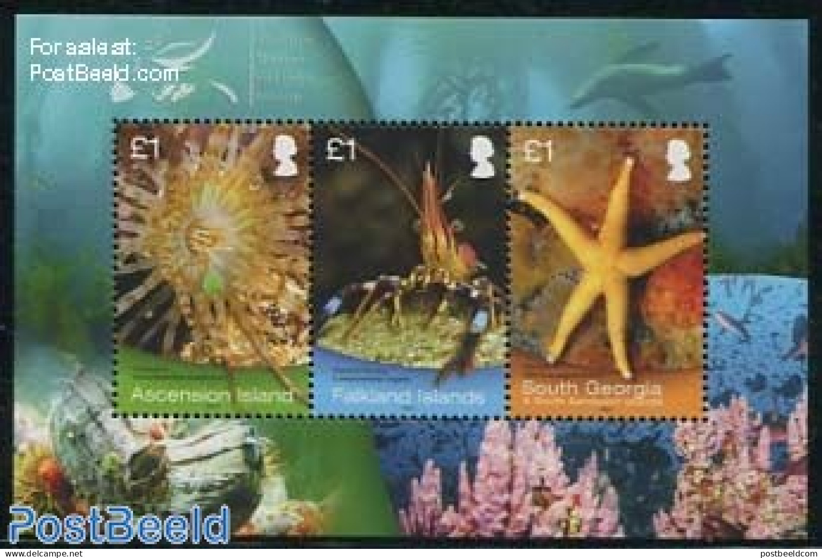 South Georgia / Falklands Dep. 2013 Marine Life S/s, Mint NH, Nature - Various - Shells & Crustaceans - Joint Issues - Marine Life