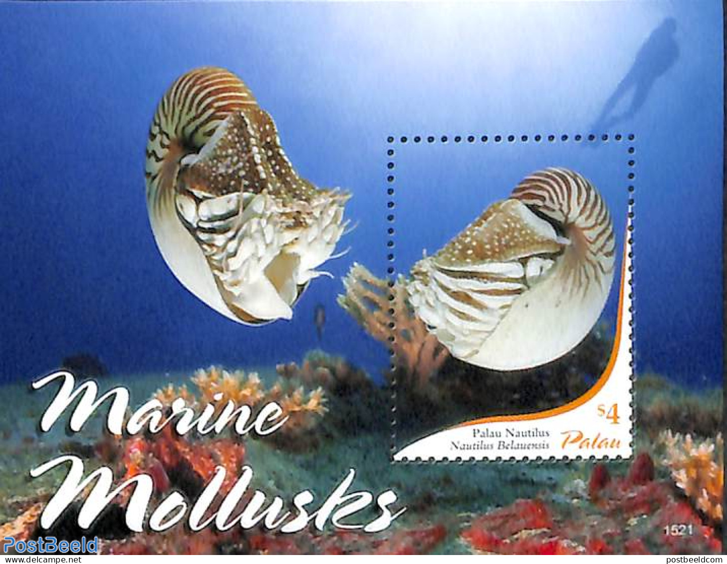 Palau 2015 Marine Mollusks S/s, Mint NH, Nature - Shells & Crustaceans - Meereswelt