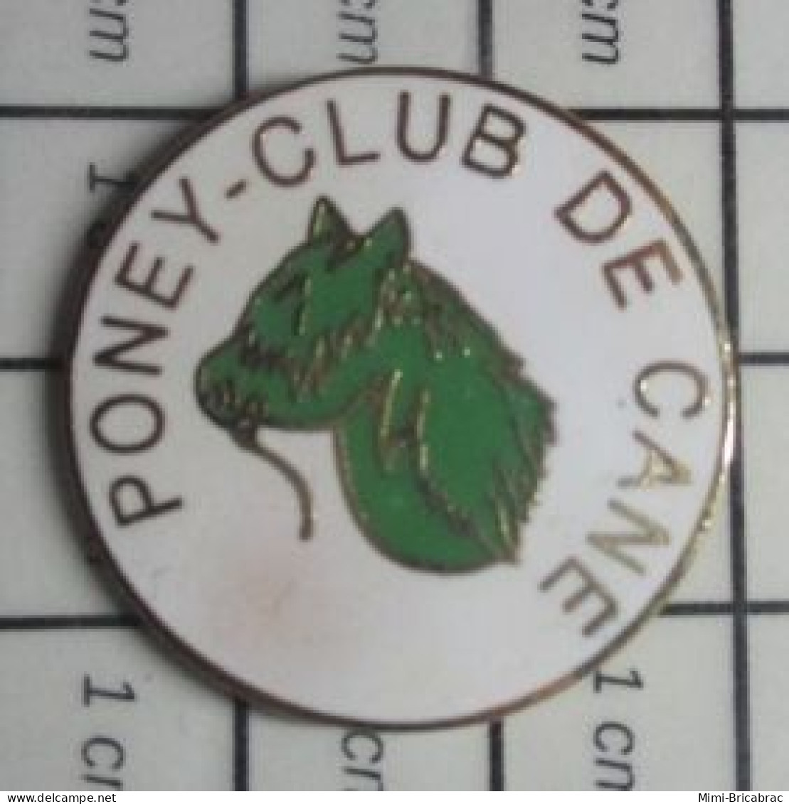 912B Pin's Pins / Beau Et Rare / ANIMAUX / CHEVAL PONEY CLUB DE CAEN Et Pas De Cane You Stupid Idiot ! - Dieren