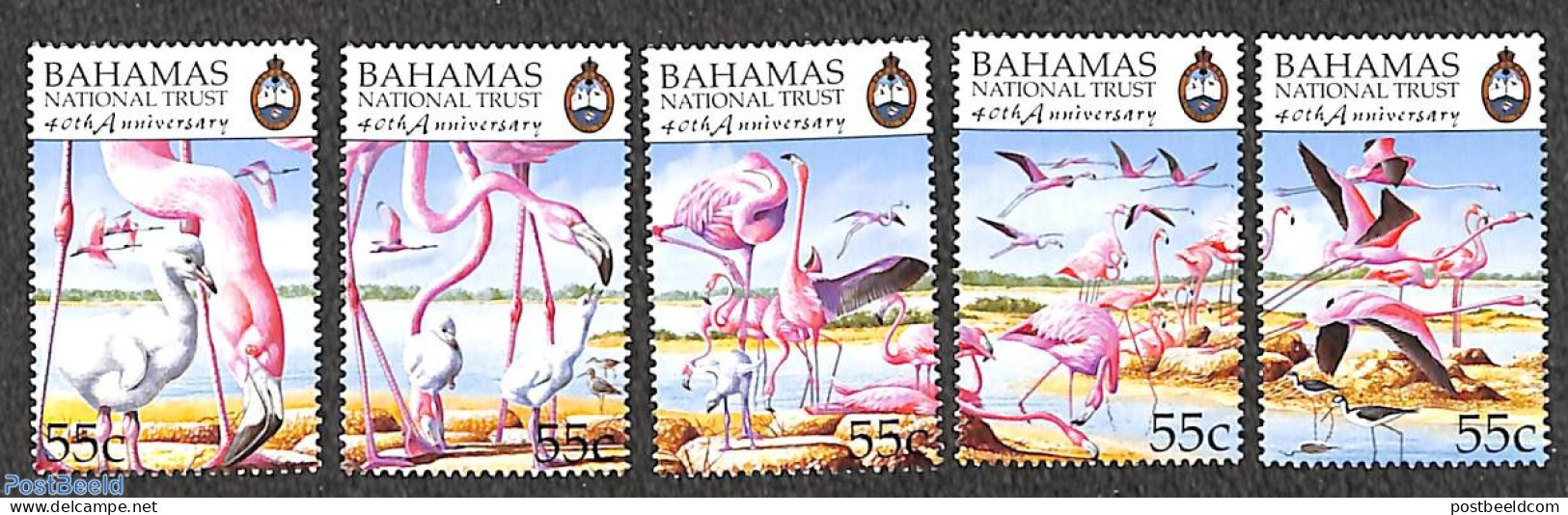 Bahamas 1999 National Trust, Flamingo's 5v, Mint NH, Nature - Birds - Flamingo - Otros & Sin Clasificación