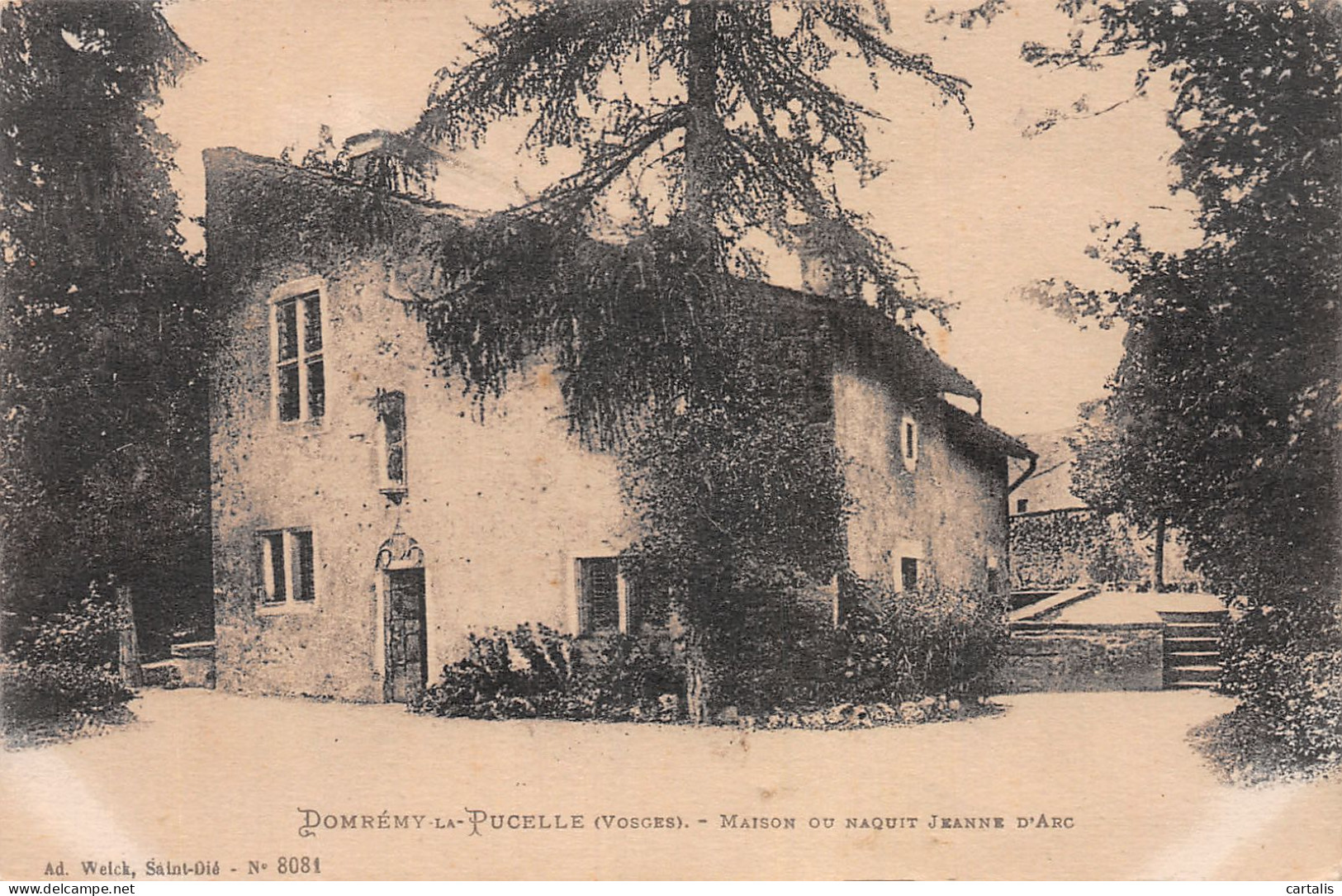 88-DOMREMY LA PUCELLE-N°4191-B/0189 - Domremy La Pucelle