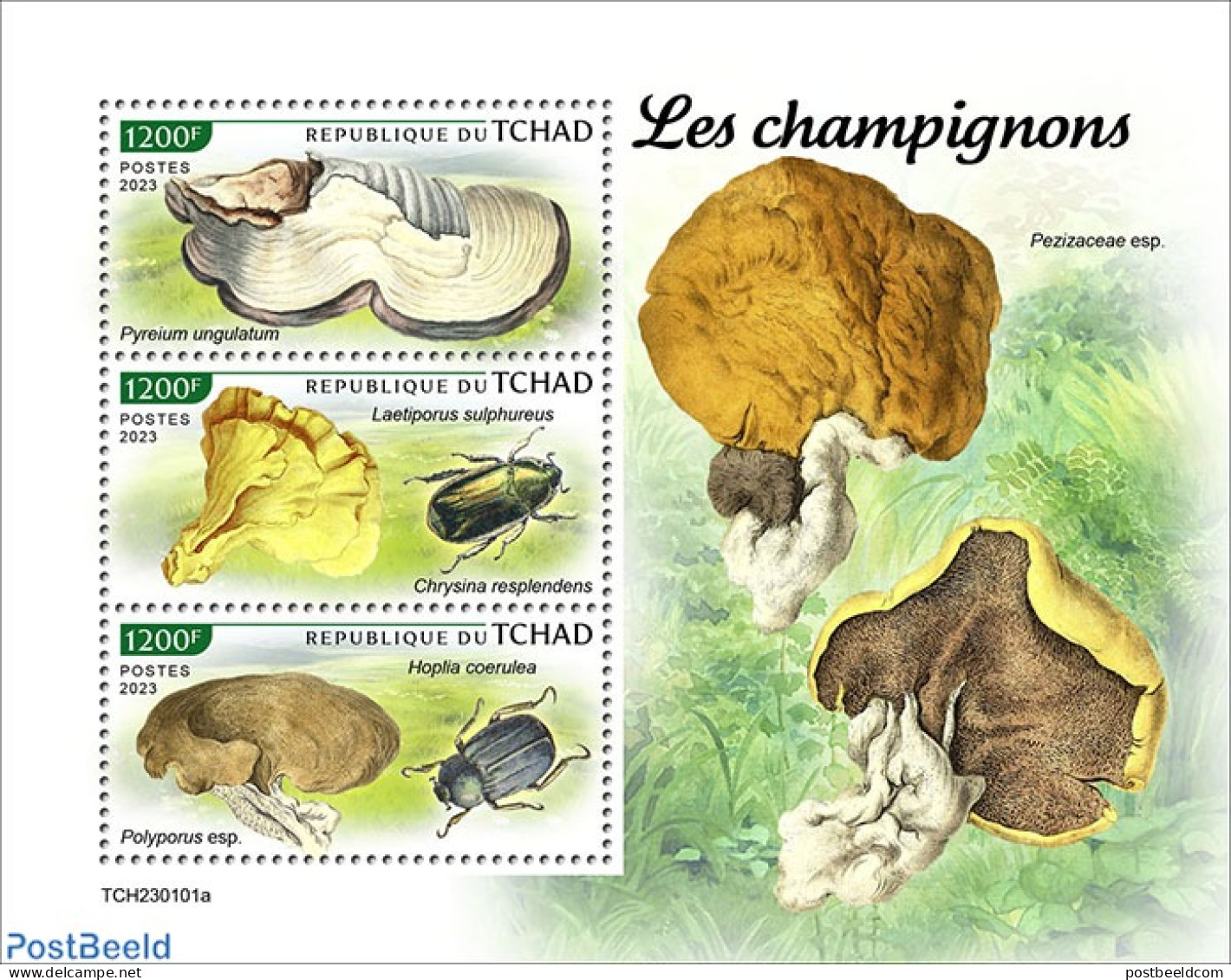 Chad 2023 Mushrooms, Mint NH, Nature - Insects - Mushrooms - Altri & Non Classificati