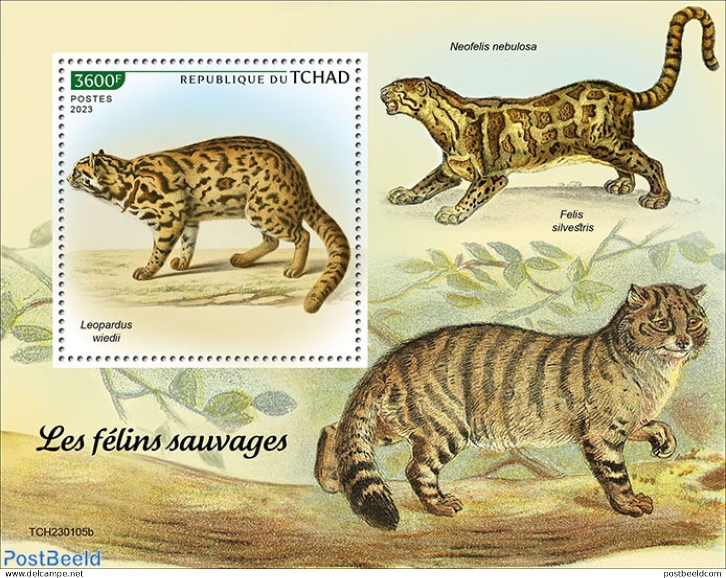 Chad 2023 Wild Cats, Mint NH, Nature - Cat Family - Wild Animals - Autres & Non Classés