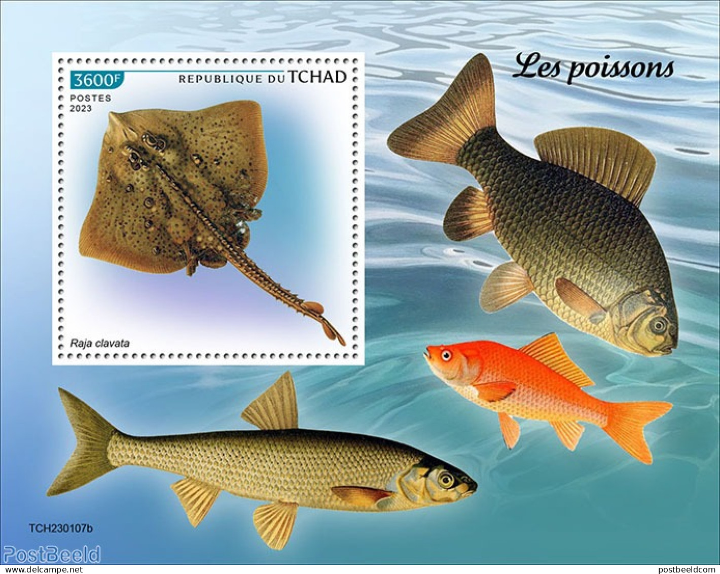 Chad 2023 Fishes, Mint NH, Nature - Fish - Autres & Non Classés