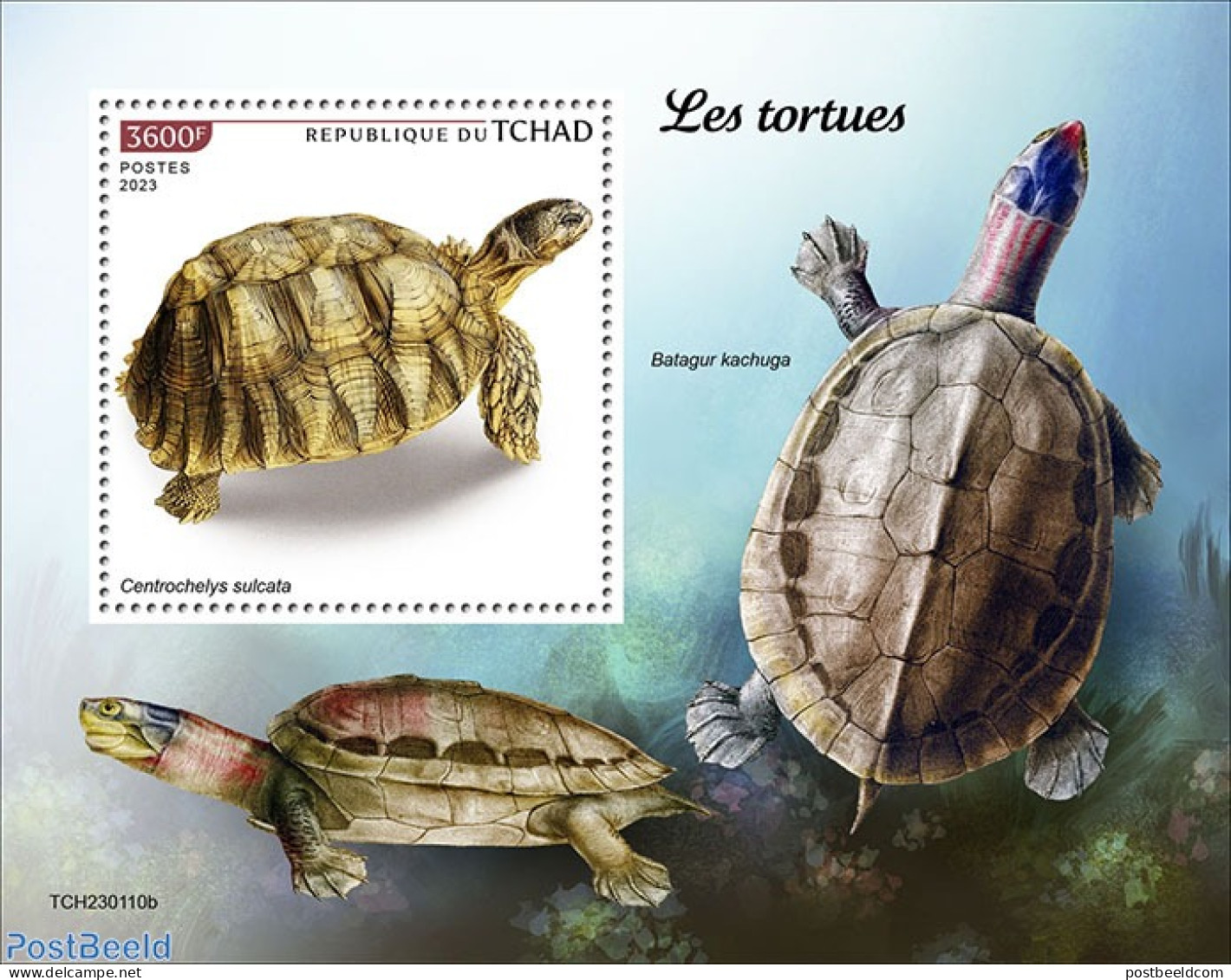 Chad 2023 Turtles, Mint NH, Nature - Turtles - Sonstige & Ohne Zuordnung