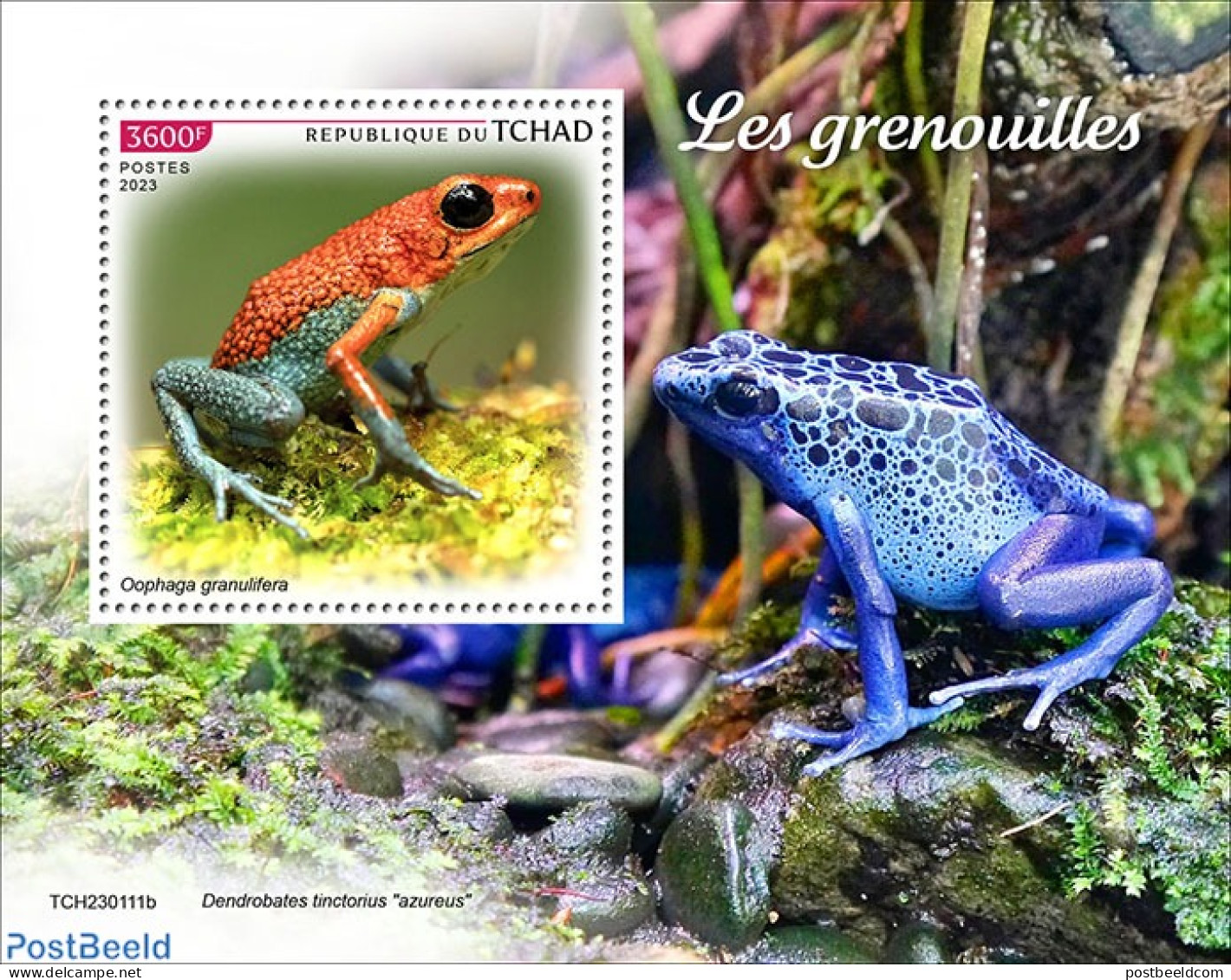 Chad 2023 Frogs, Mint NH, Nature - Frogs & Toads - Autres & Non Classés