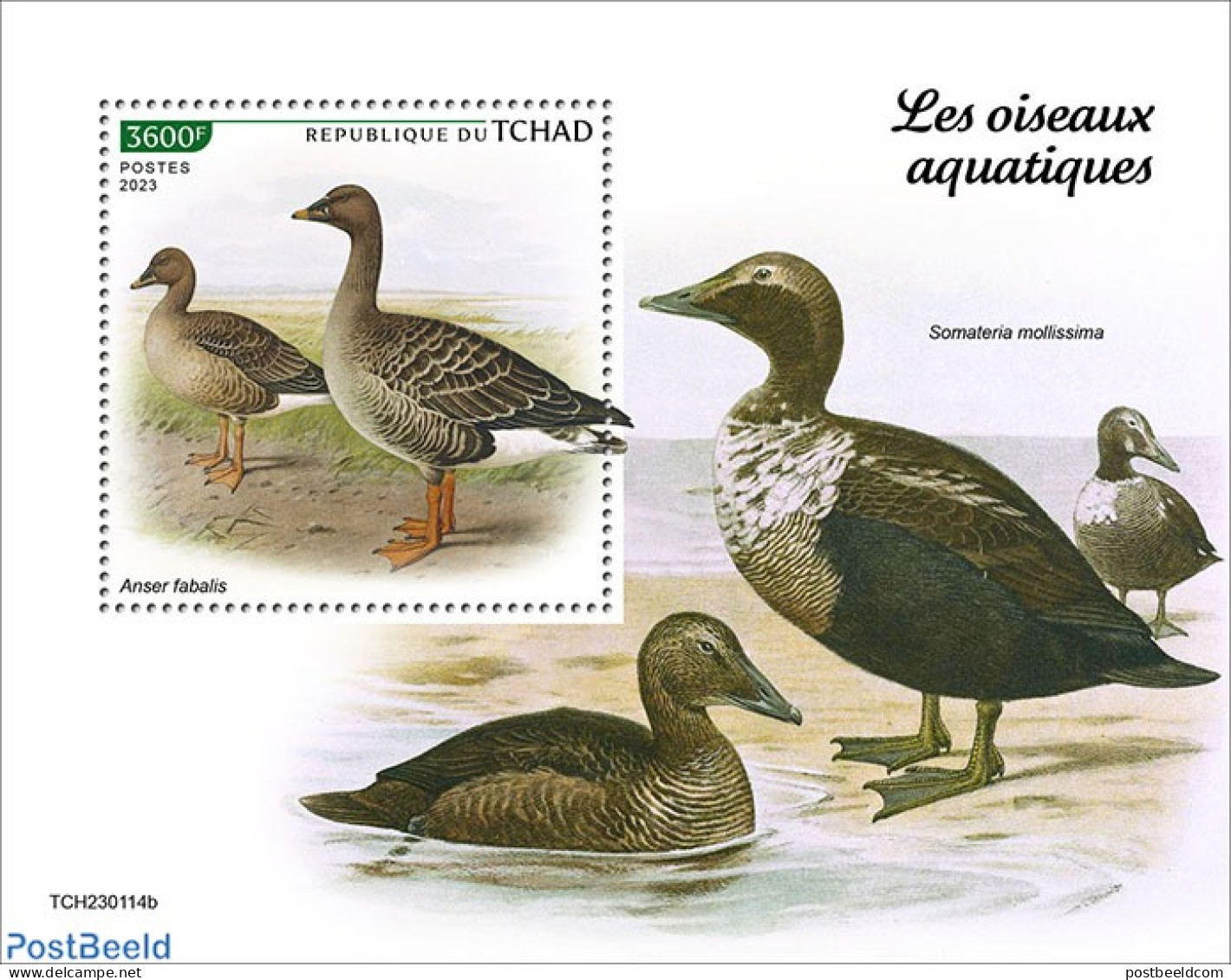 Chad 2023 Waterbirds, Mint NH, Nature - Birds - Ducks - Other & Unclassified