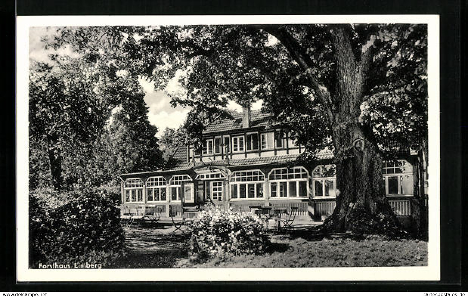 AK Börninghausen über Lübbecke I. W., Gasthof Forsthaus Limberg  - Chasse