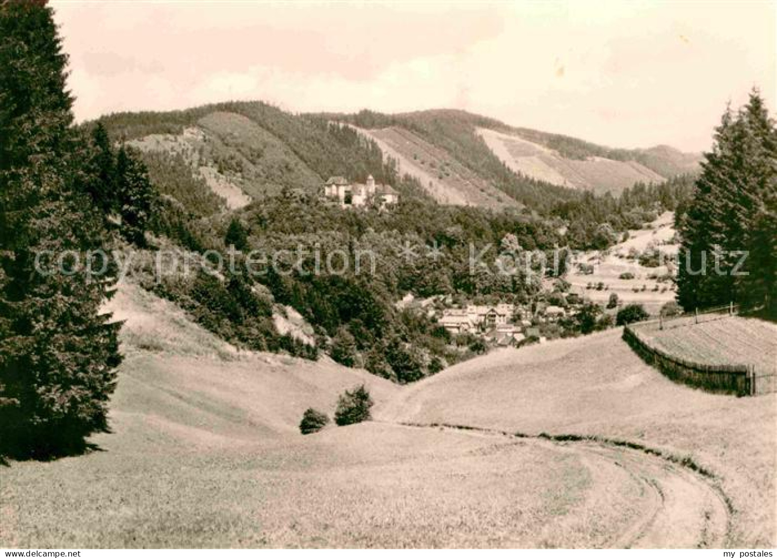 72729694 Leutenberg Thueringen Panorama Blick Zur Friedensburg Leutenberg - Other & Unclassified