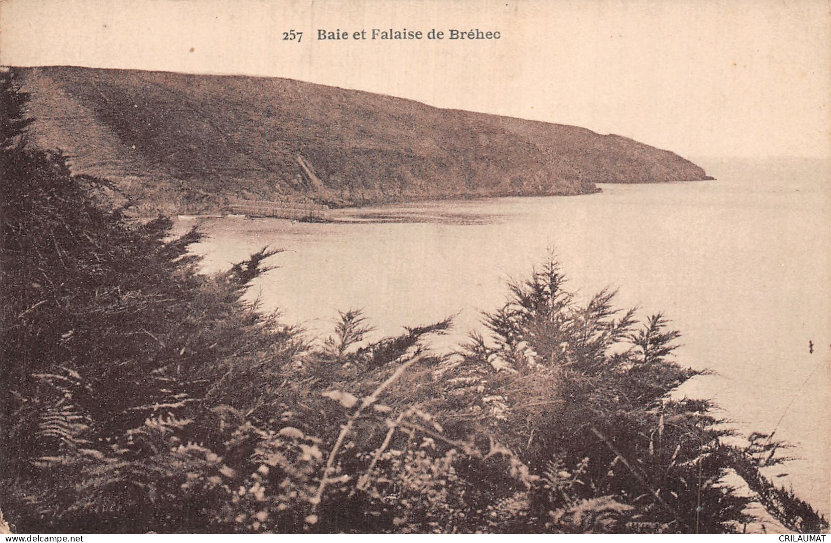 22-BAIE ET FALAISE DE BREHEC-N°5139-F/0327 - Sonstige & Ohne Zuordnung