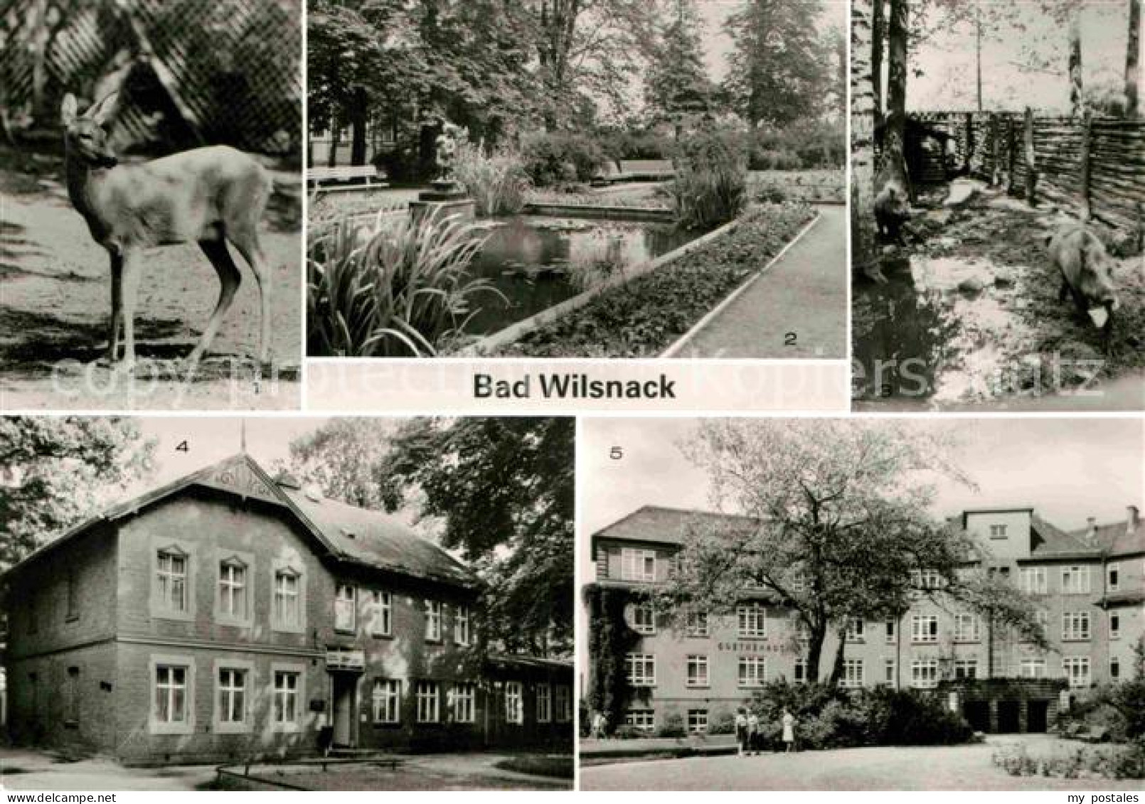 72729638 Bad Wilsnack Tierpark Parkanlagen Haus Birkengrund Goethehaus Bad Wilsn - Bad Wilsnack