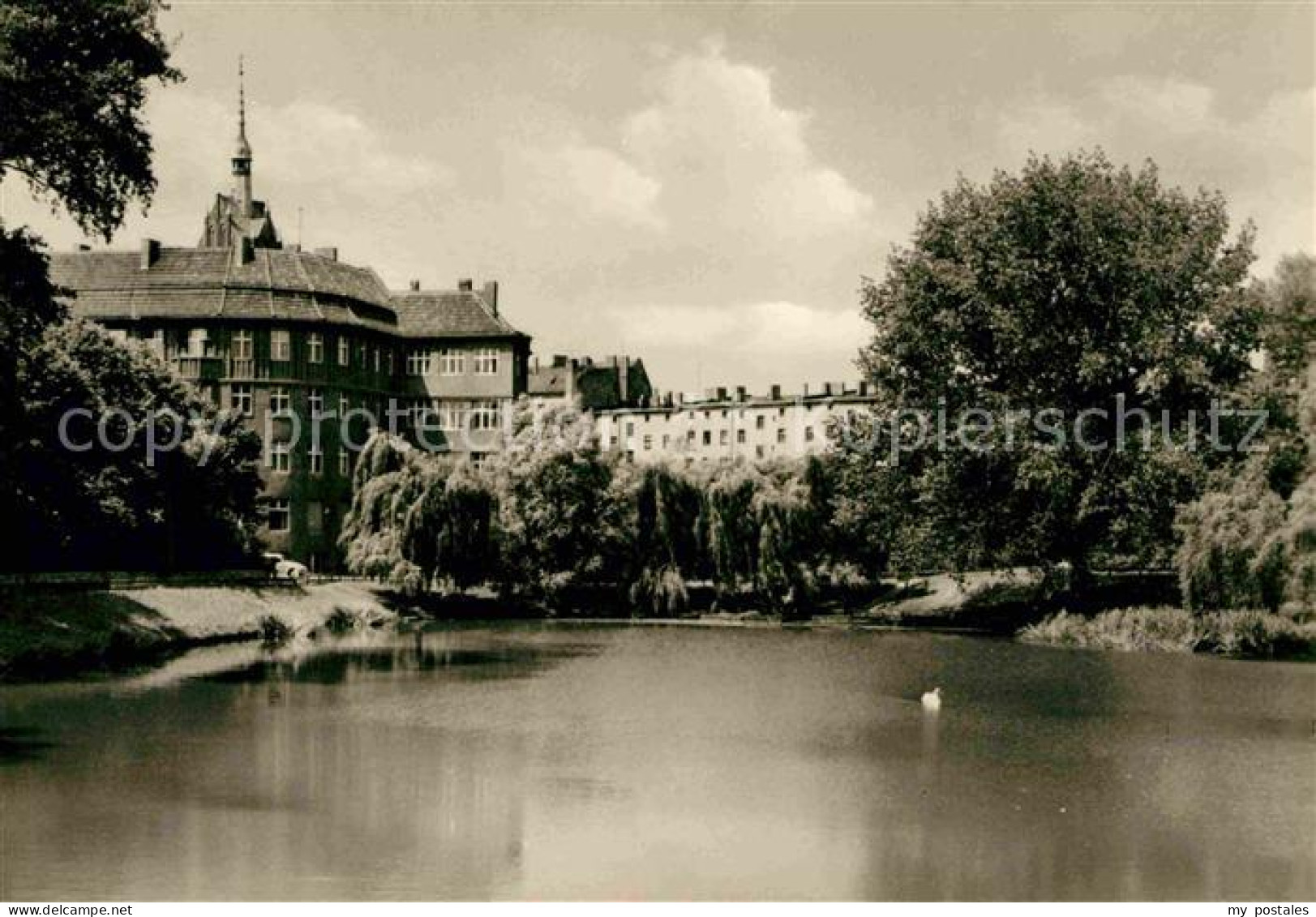 72729594 Weissensee Berlin Schwanenteich Weissensee Berlin - Sonstige & Ohne Zuordnung