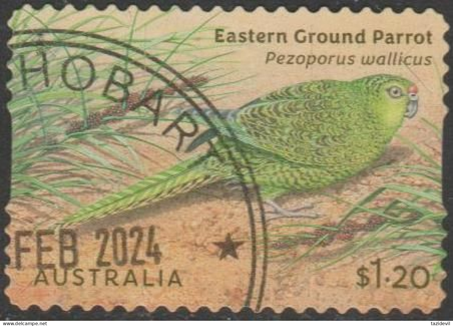 AUSTRALIA - DIE-CUT-USED 2024 $1.20 Australian Ground Parrots - Eastern Ground Parrot - Used Stamps