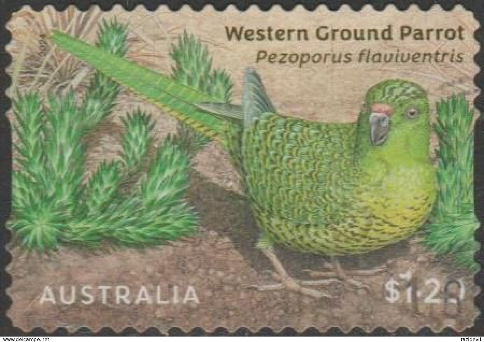 AUSTRALIA - DIE-CUT-USED 2024 $1.20 Australian Ground Parrots - Western Ground Parrot - Oblitérés