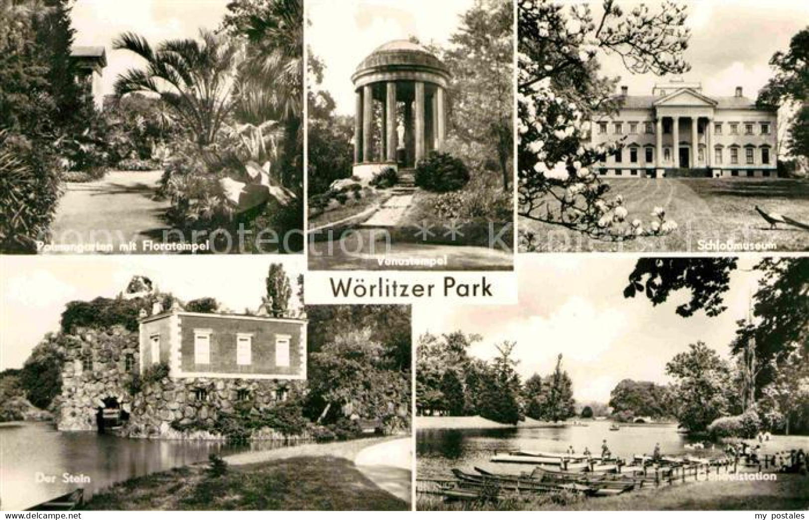 72729468 Woerlitz Woerlitzer Park Palmengarten Floratempel Venustempel Schlossmu - Otros & Sin Clasificación