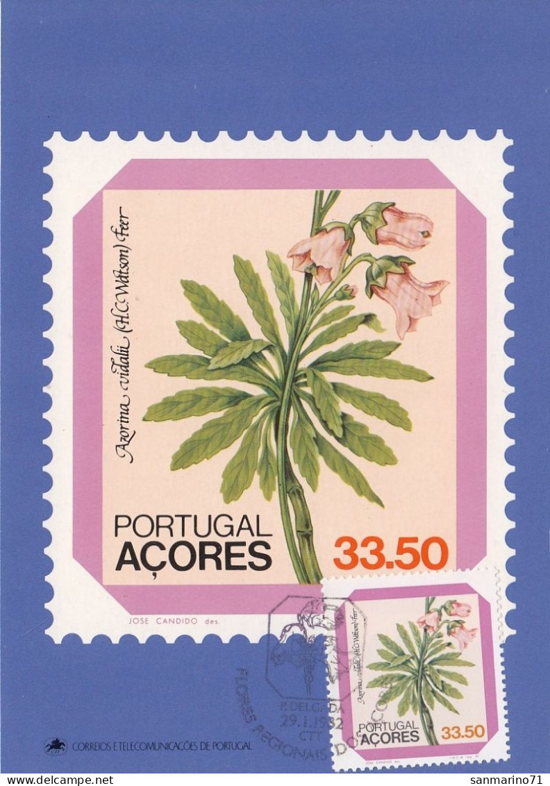 PORTUGAL Azores Maximum Card 352 - Autres & Non Classés