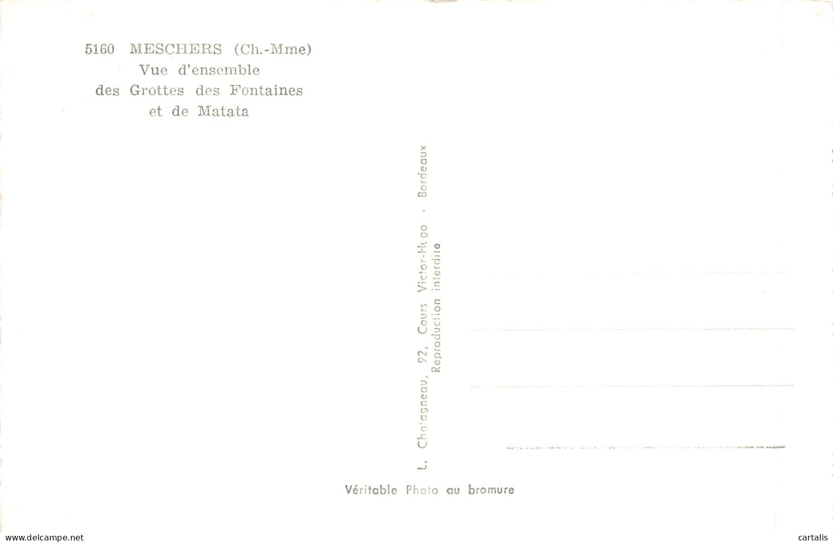 17-MESCHERS-N°4192-G/0235 - Meschers