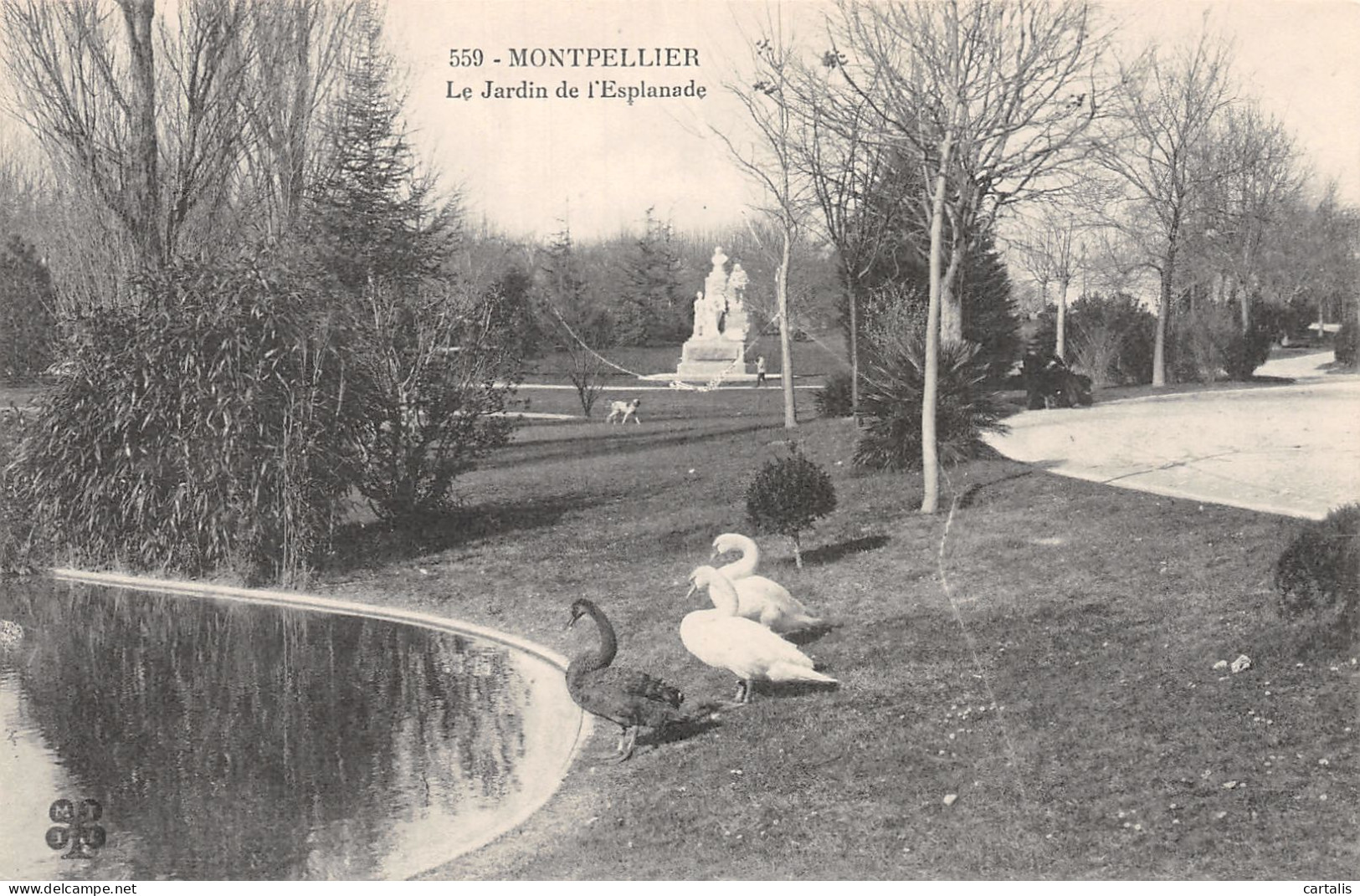 34-MONTPELLIER-N°4192-F/0329 - Montpellier