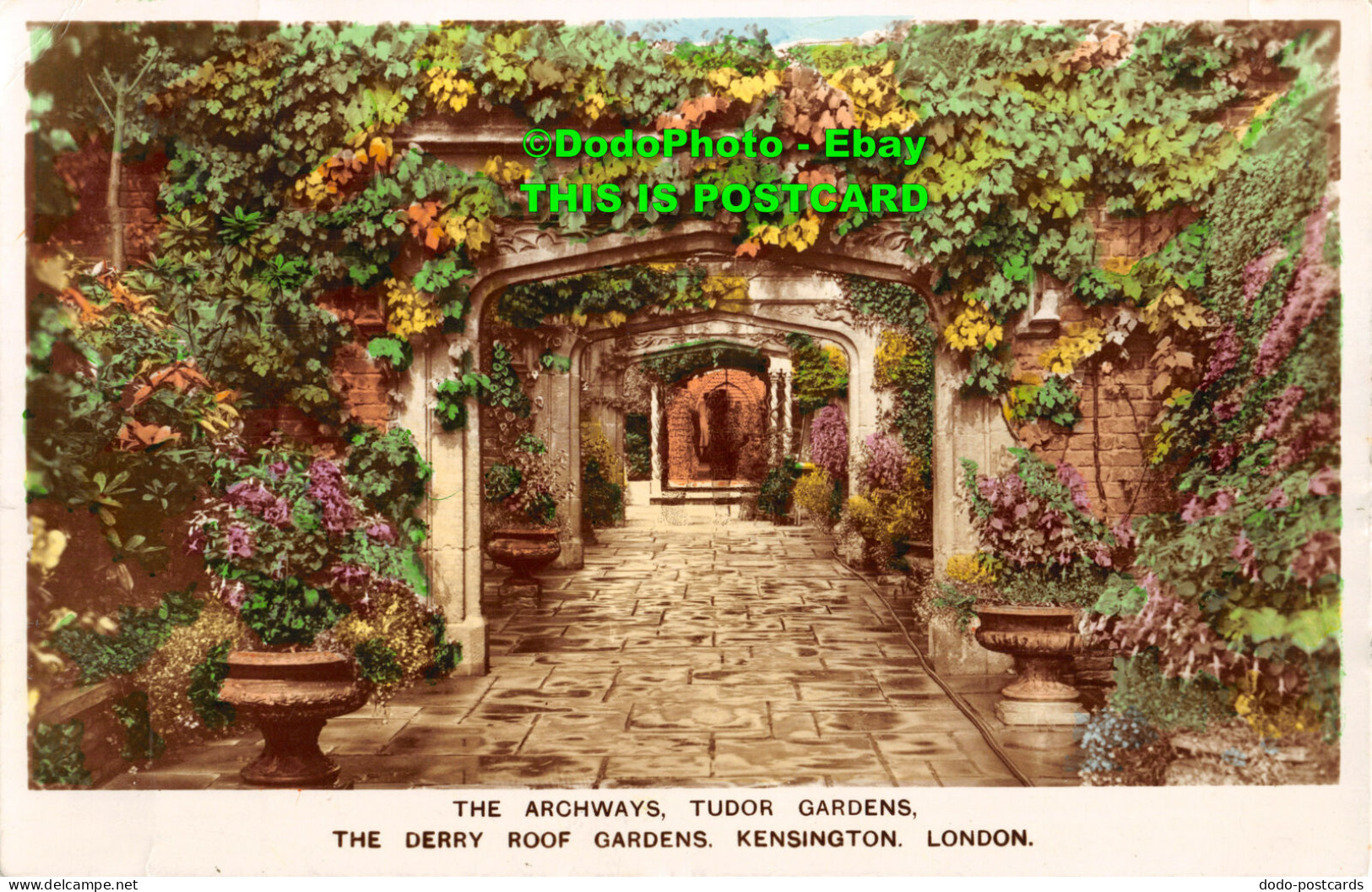 R416899 The Archways. Tudor Gardens. The Derry Roof Gardens. Kensington. London. - Other & Unclassified