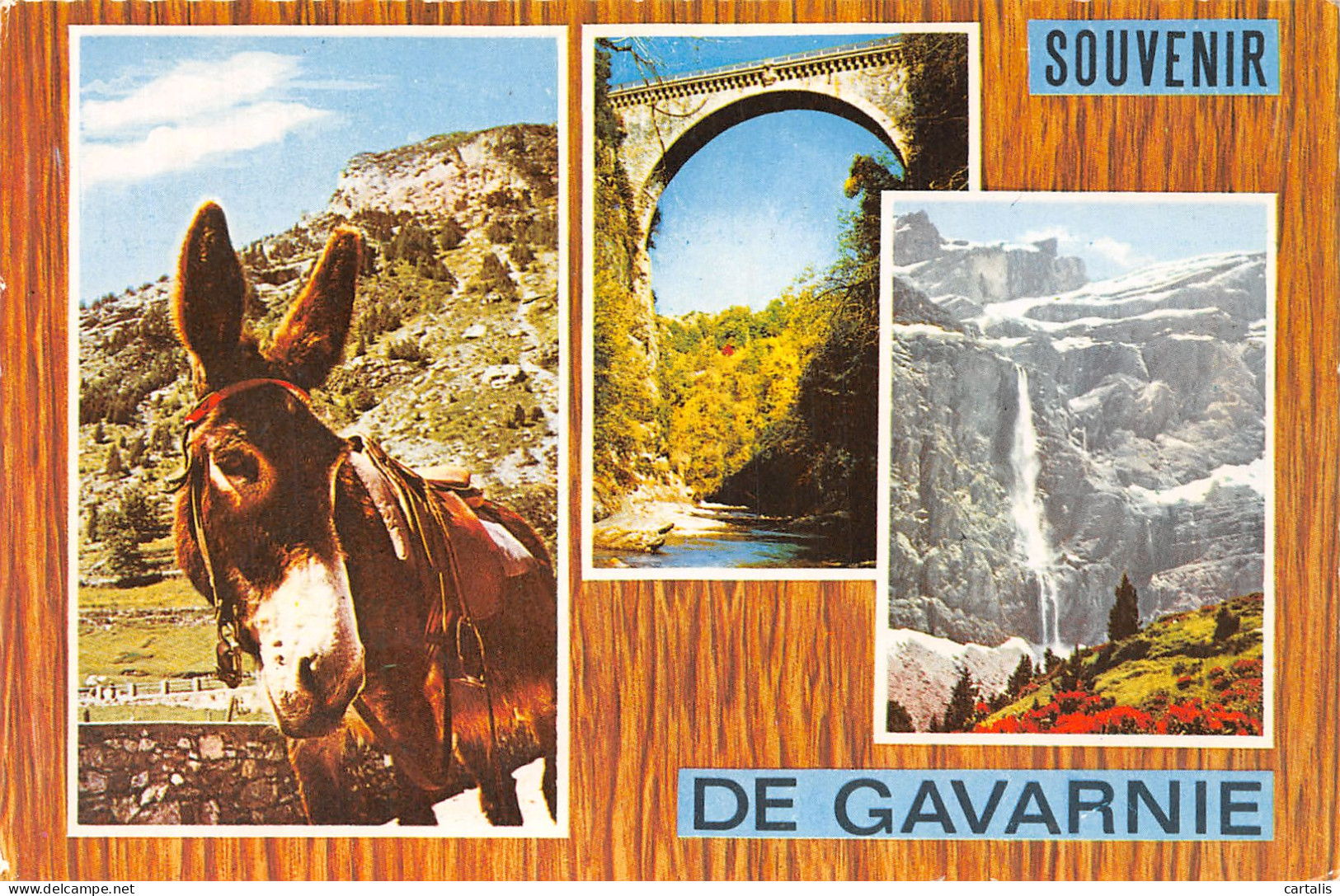 65-GAVARNIE-N°4193-B/0025 - Gavarnie